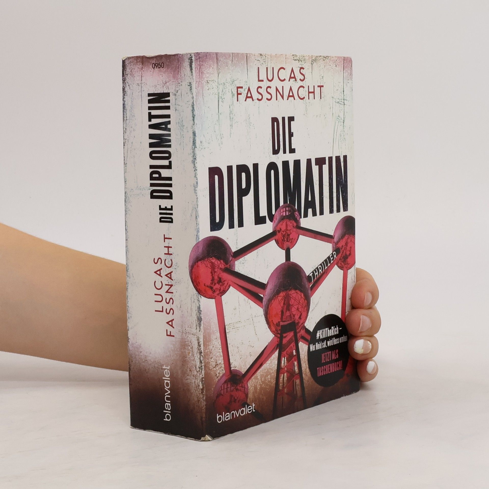 Lucas Fassnacht Die Diplomatin