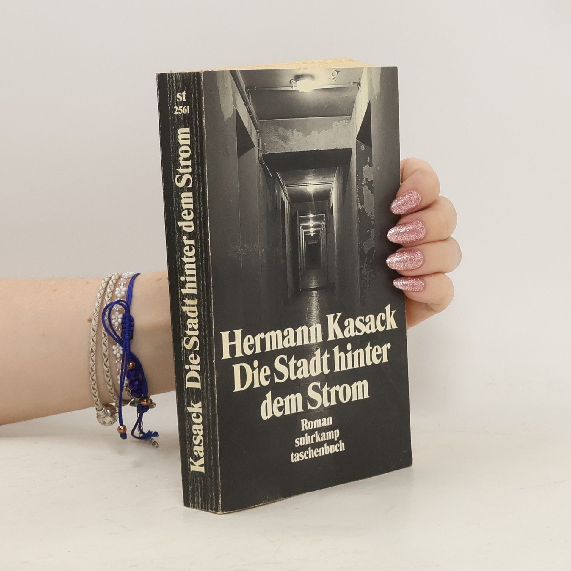 Hermann Kasack Die Stadt hinter dem Strom