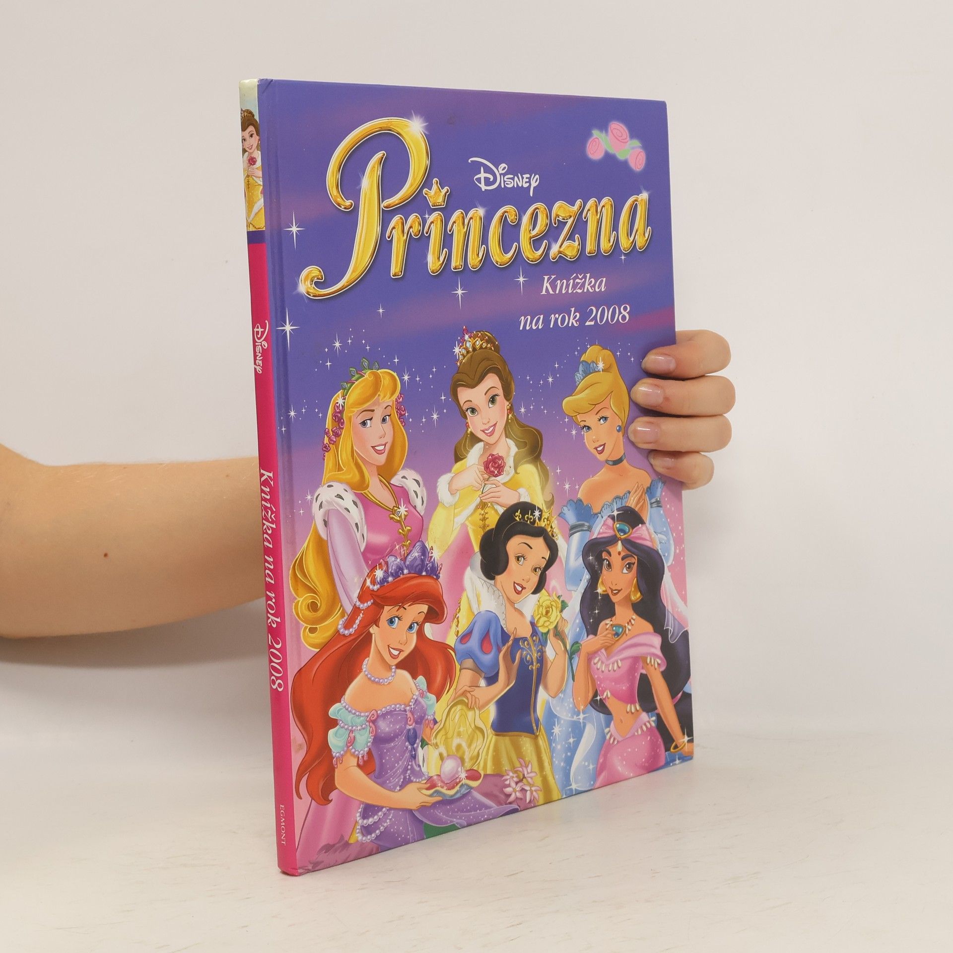 Marie Šimková Princezna: knížka na rok 2008