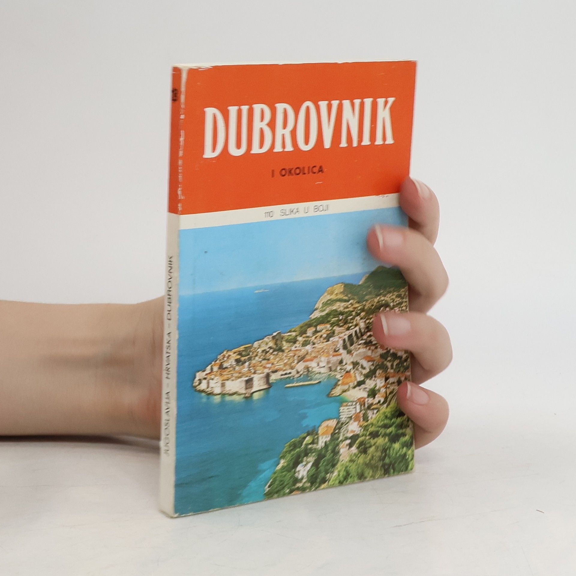 Collectif d'auteurs Dubrovnik i okolica