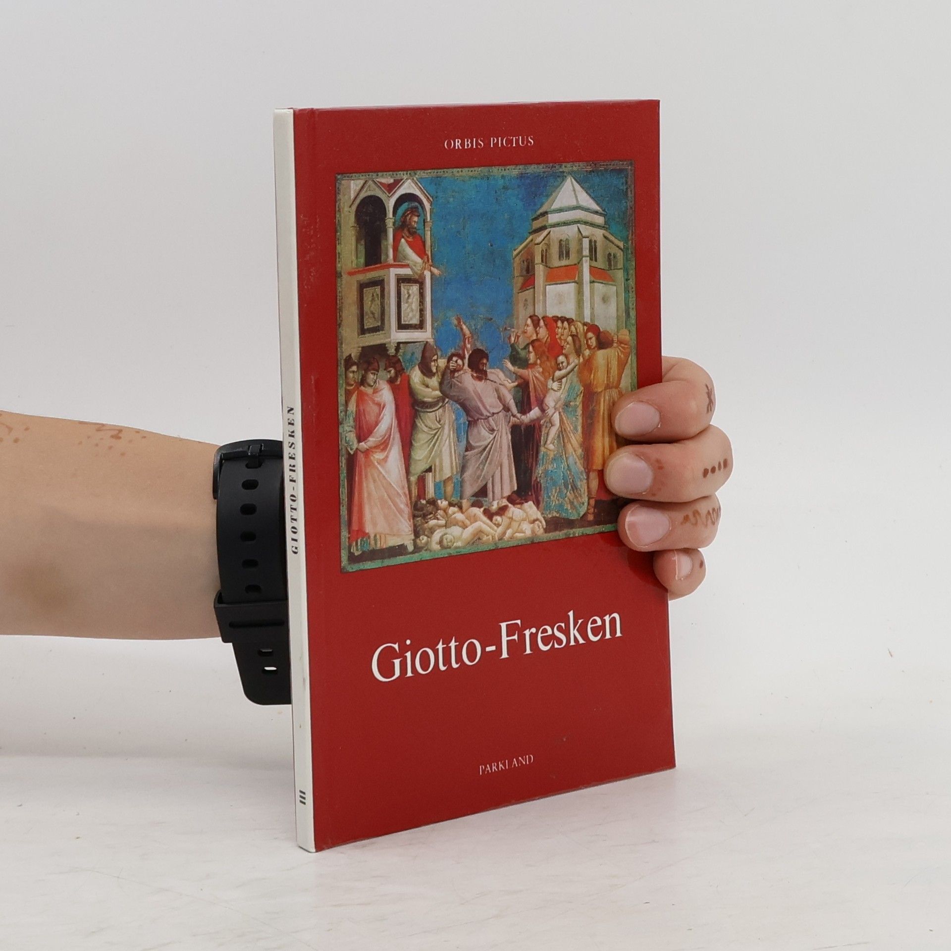 Collective Giotto-Fresken