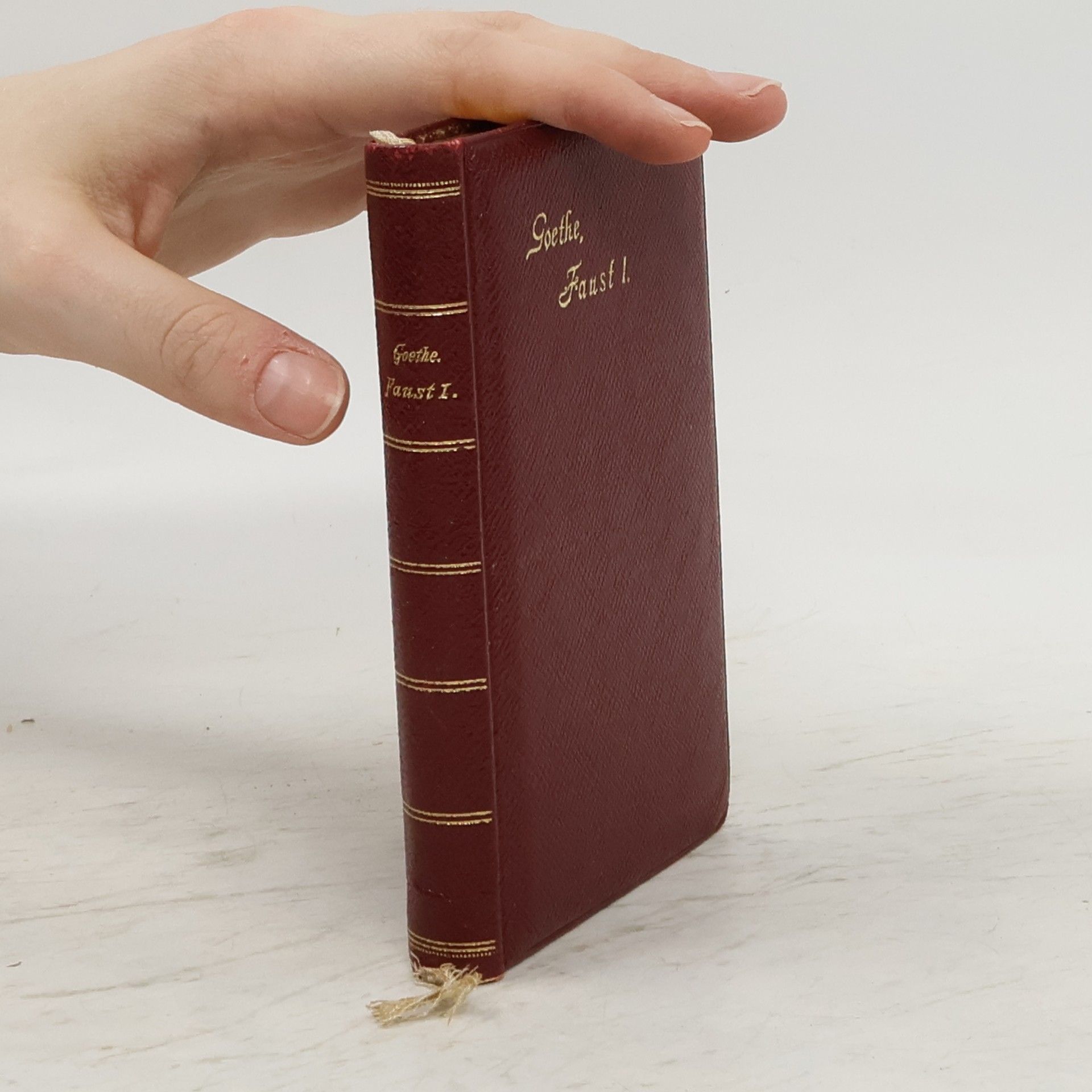 Johann Wolfgang von Goethe Faust I