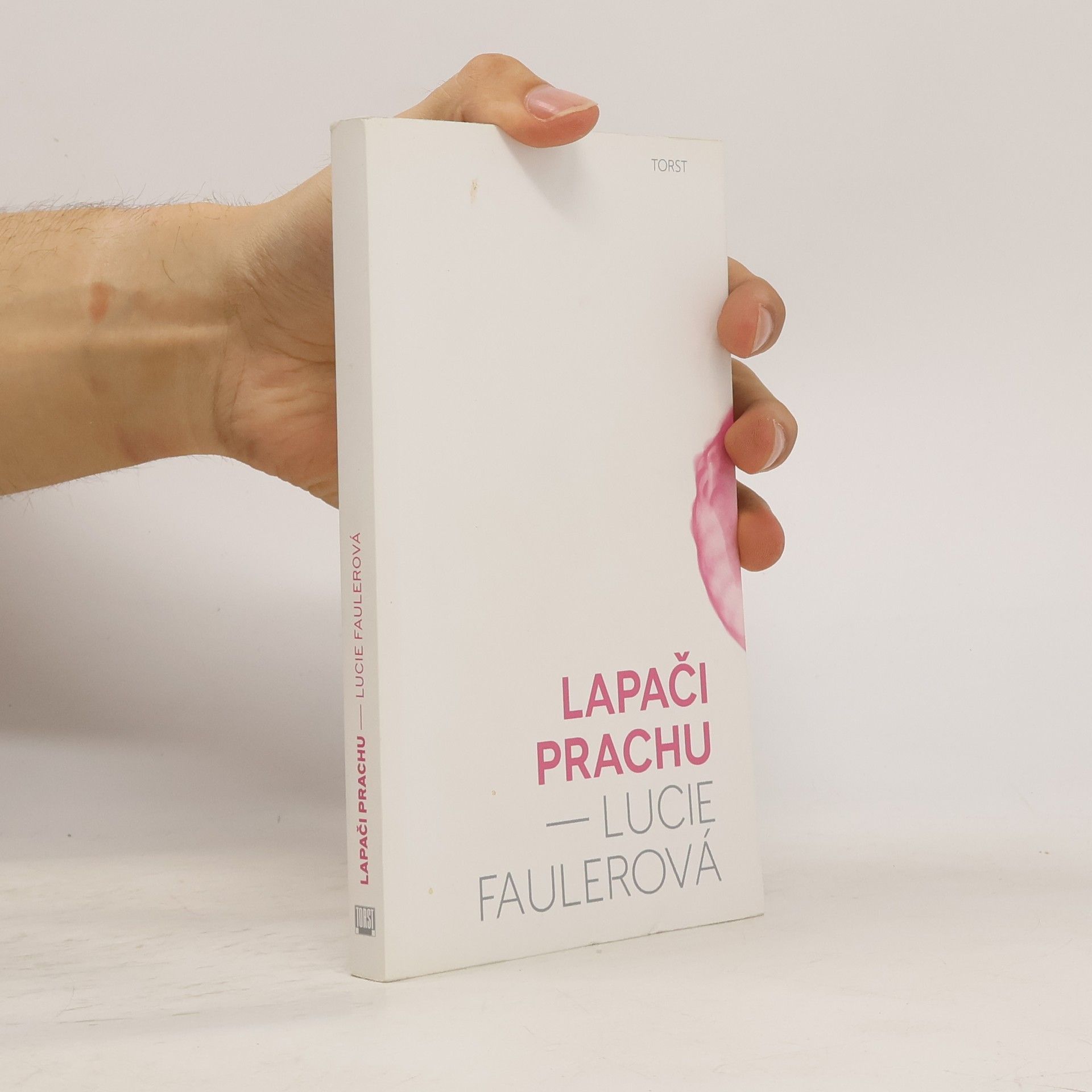 Lucie Faulerová Lapači prachu