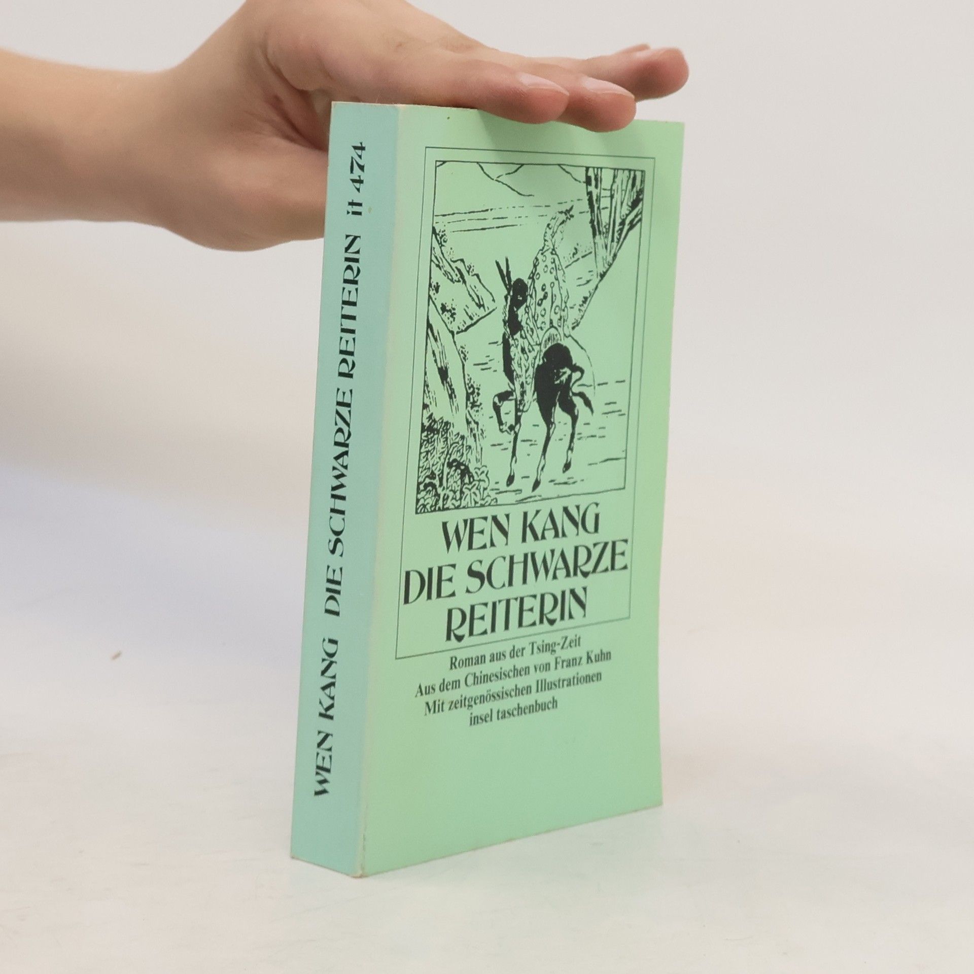 Wen Kang Die schwarze Reiterin. Roman aus der Tsing-Zeit