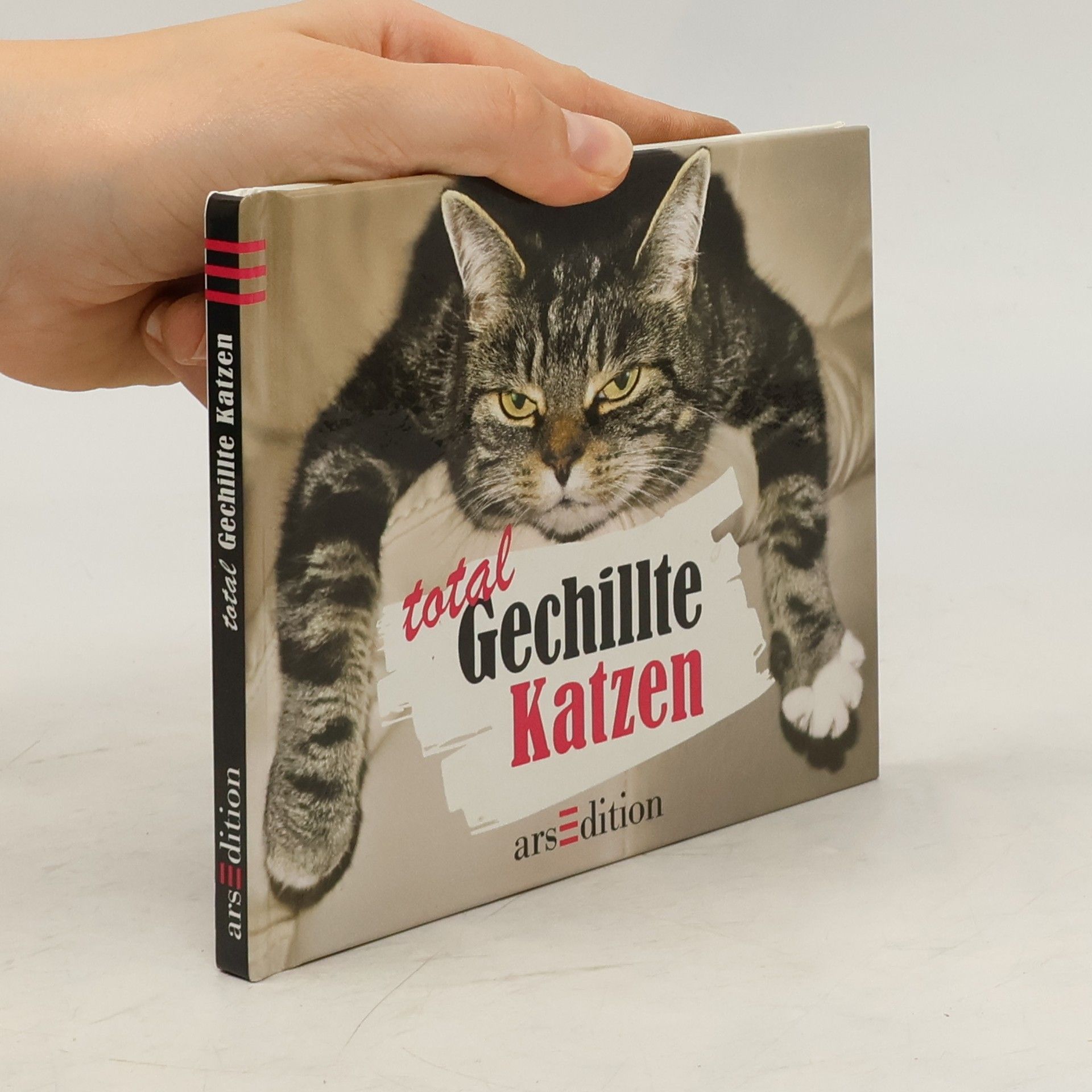 Paulus Vennebusch Total gechillte Katzen