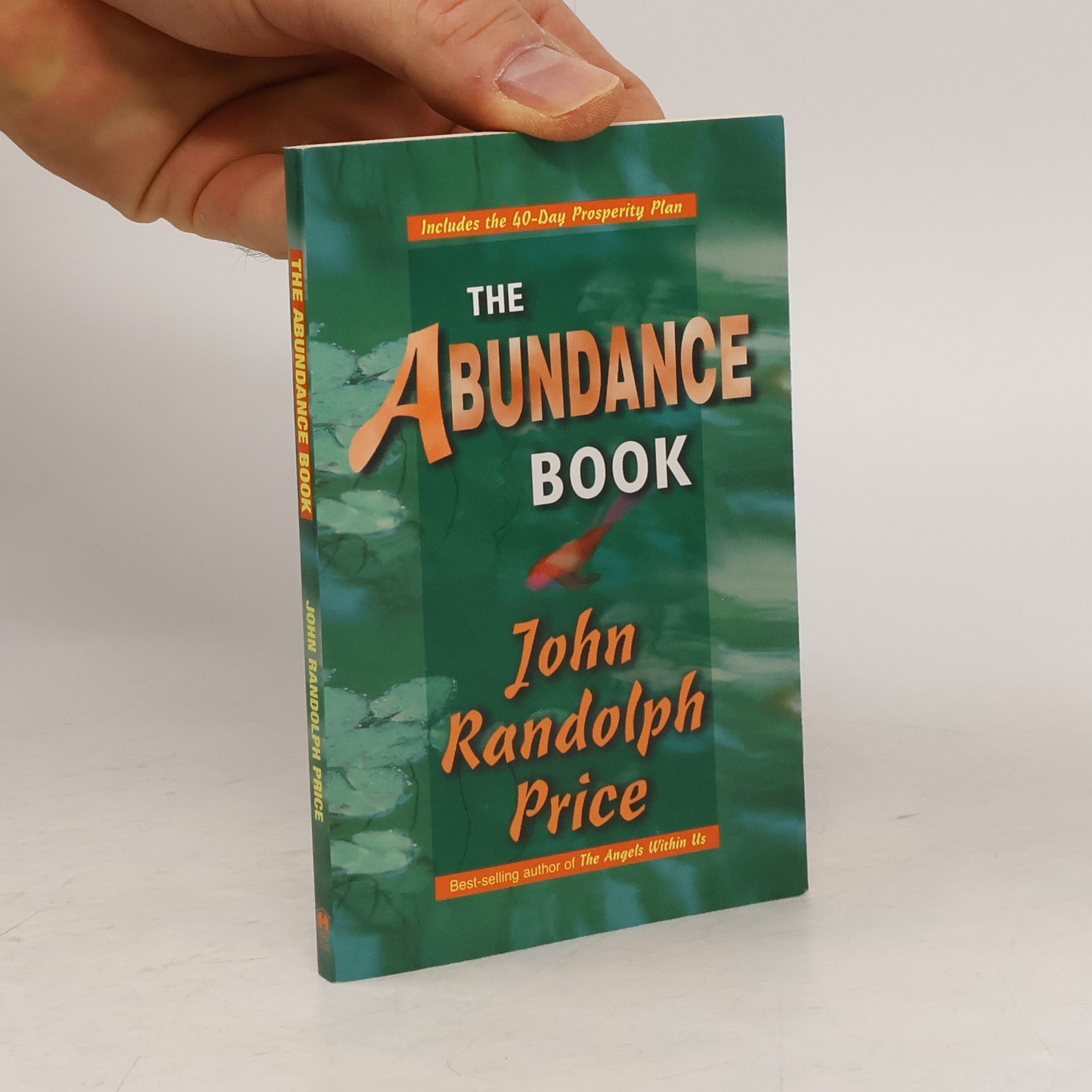 John Randolph Price The Abundance Book