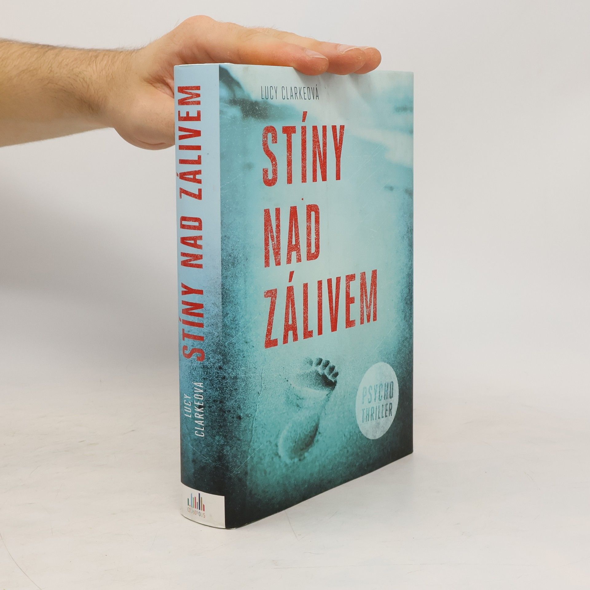 Lucy Clarke Stíny nad zálivem
