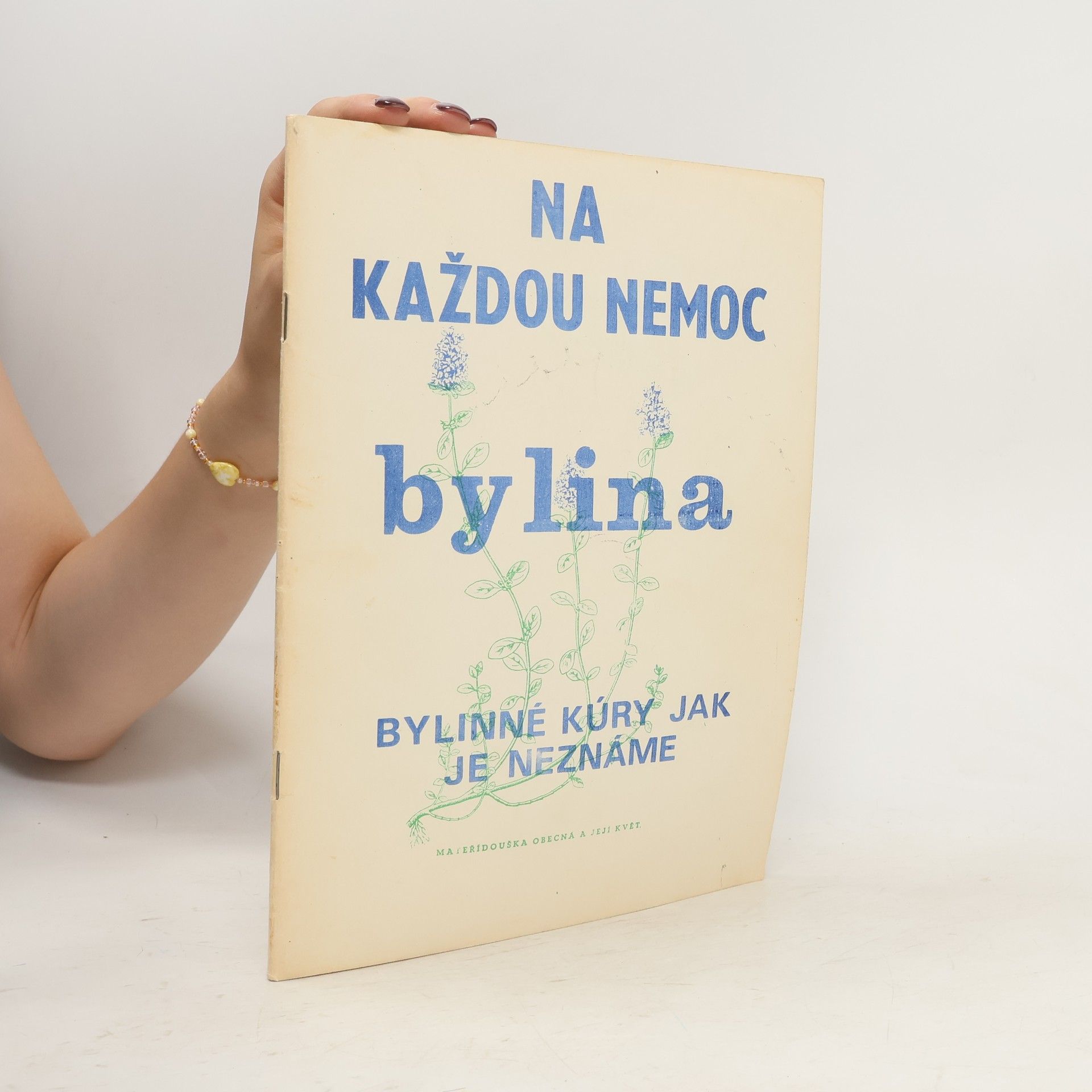 Collectif d'auteurs Na každou nemoc bylina: Bylinné kúry jak je neznáme