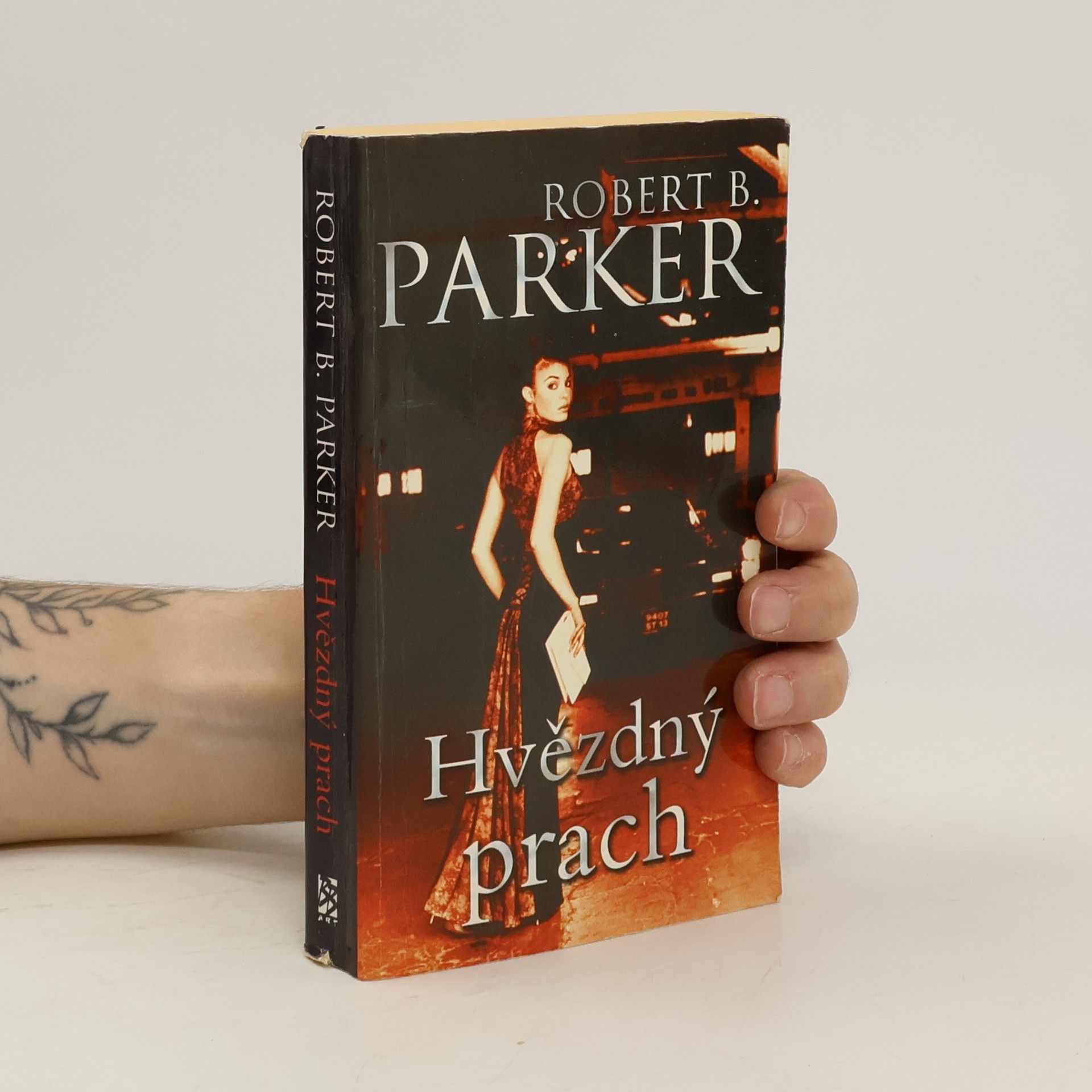 Robert B. Parker Hvězdný prach