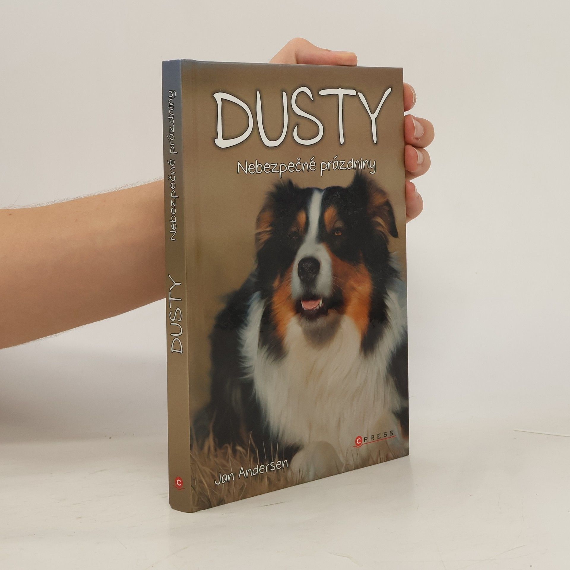 Wolfram Hänel Dusty: Nebezpečné prázdniny