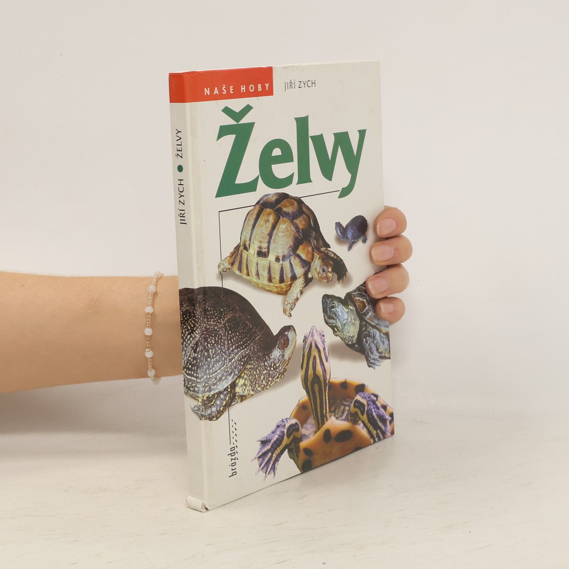 Jiří Zych Želvy