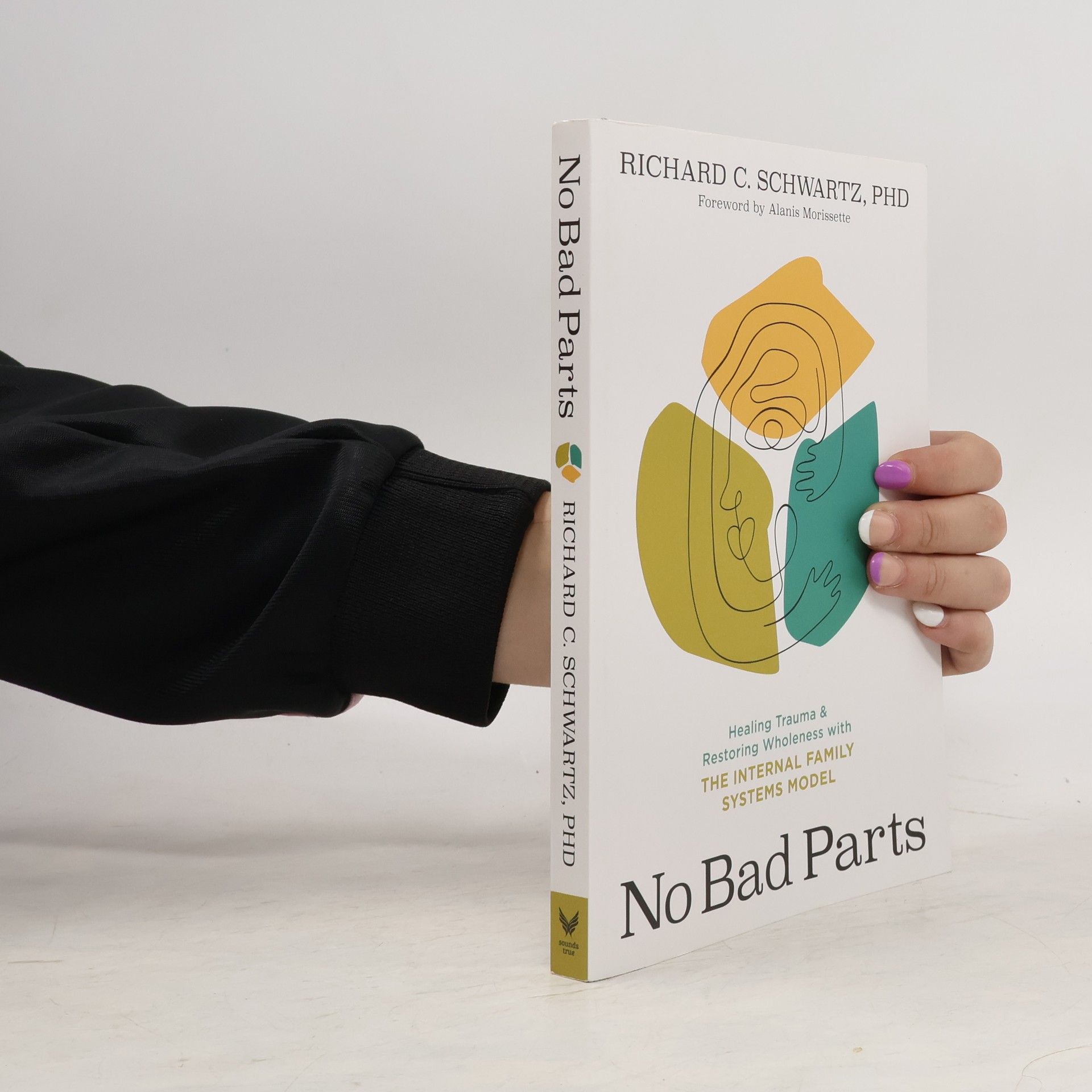 Richard C. Schwartz No Bad Parts