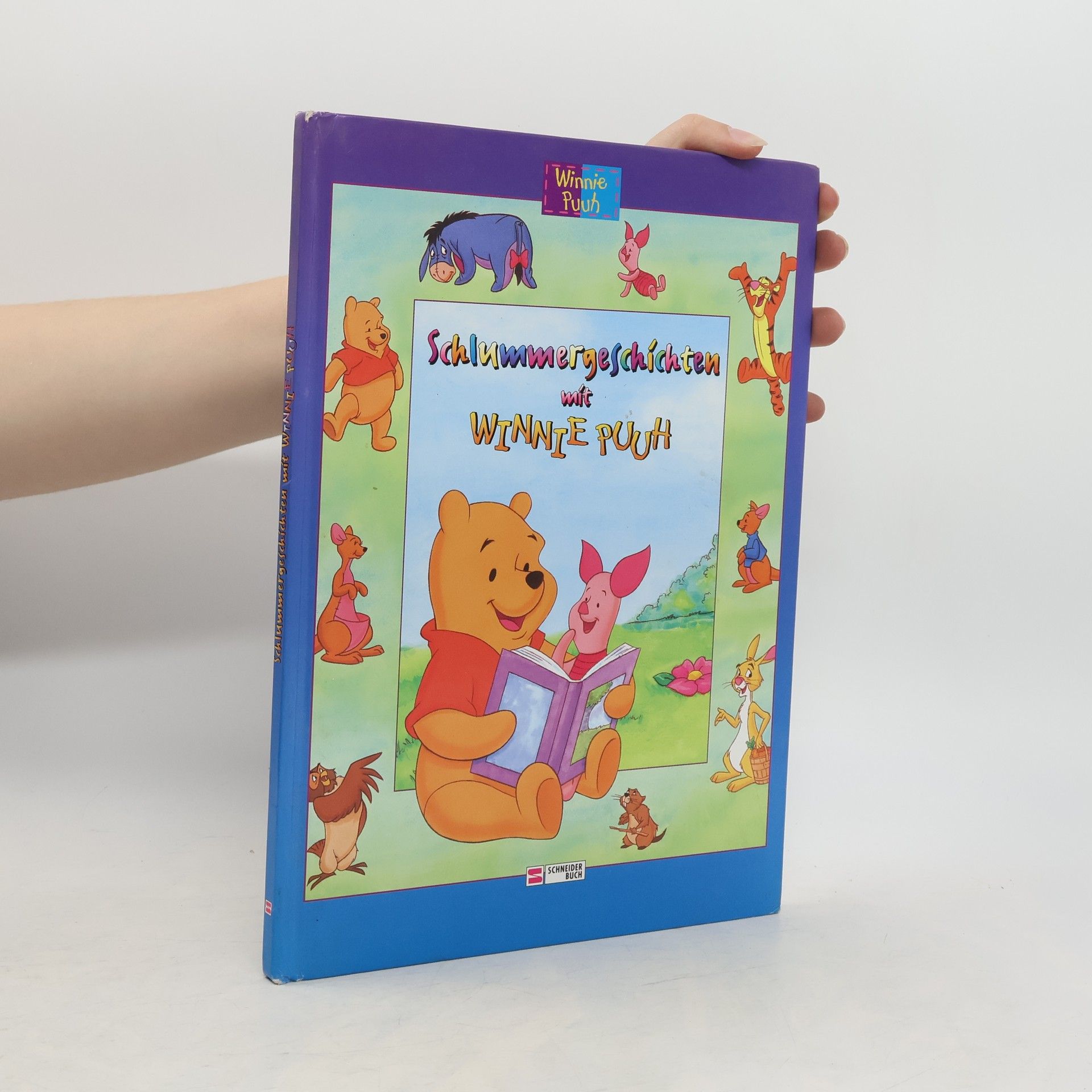 Michael Czernich Schlummergeschichten mit Winnie Puuh
