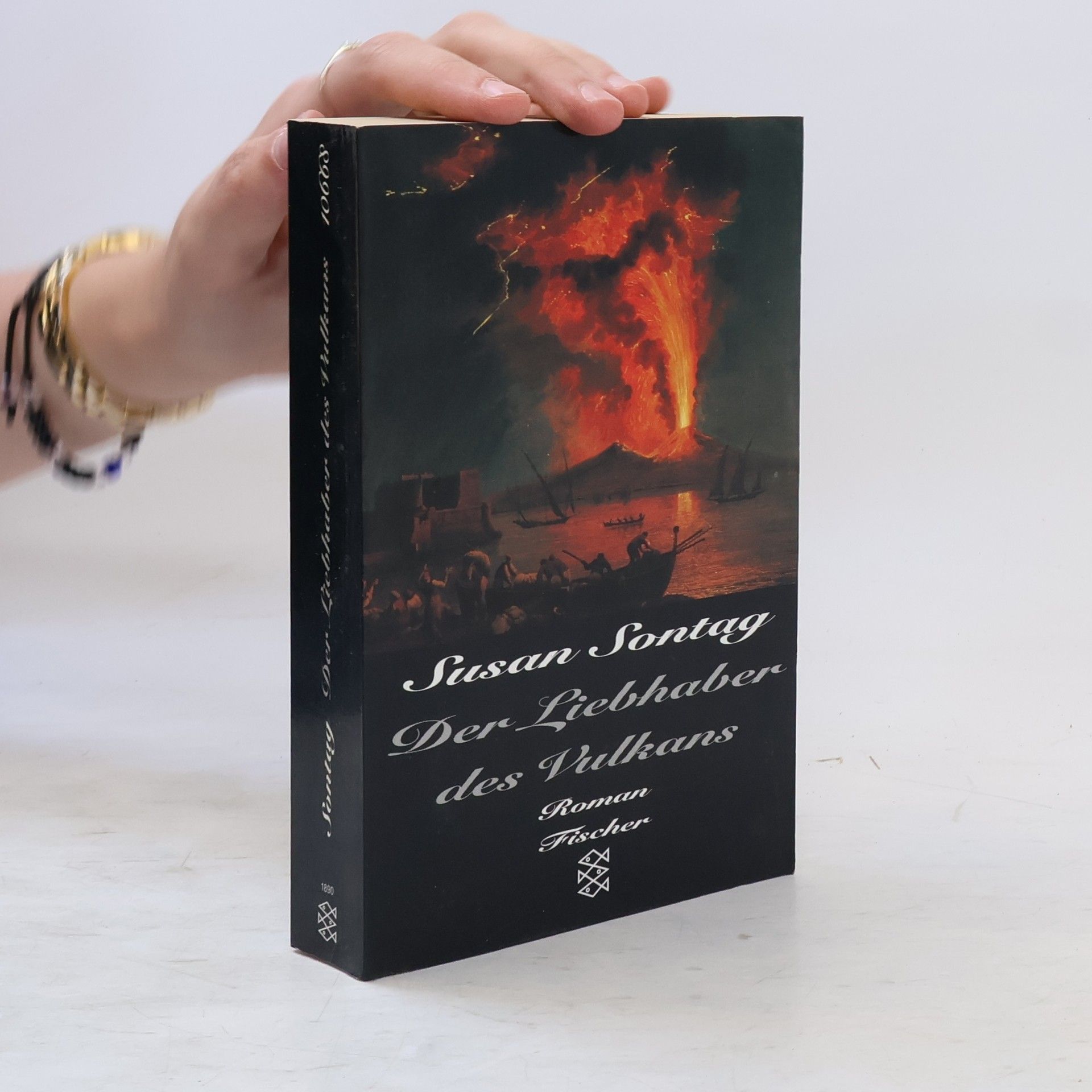 Susan Sontagová Der Liebhaber des Vulkans