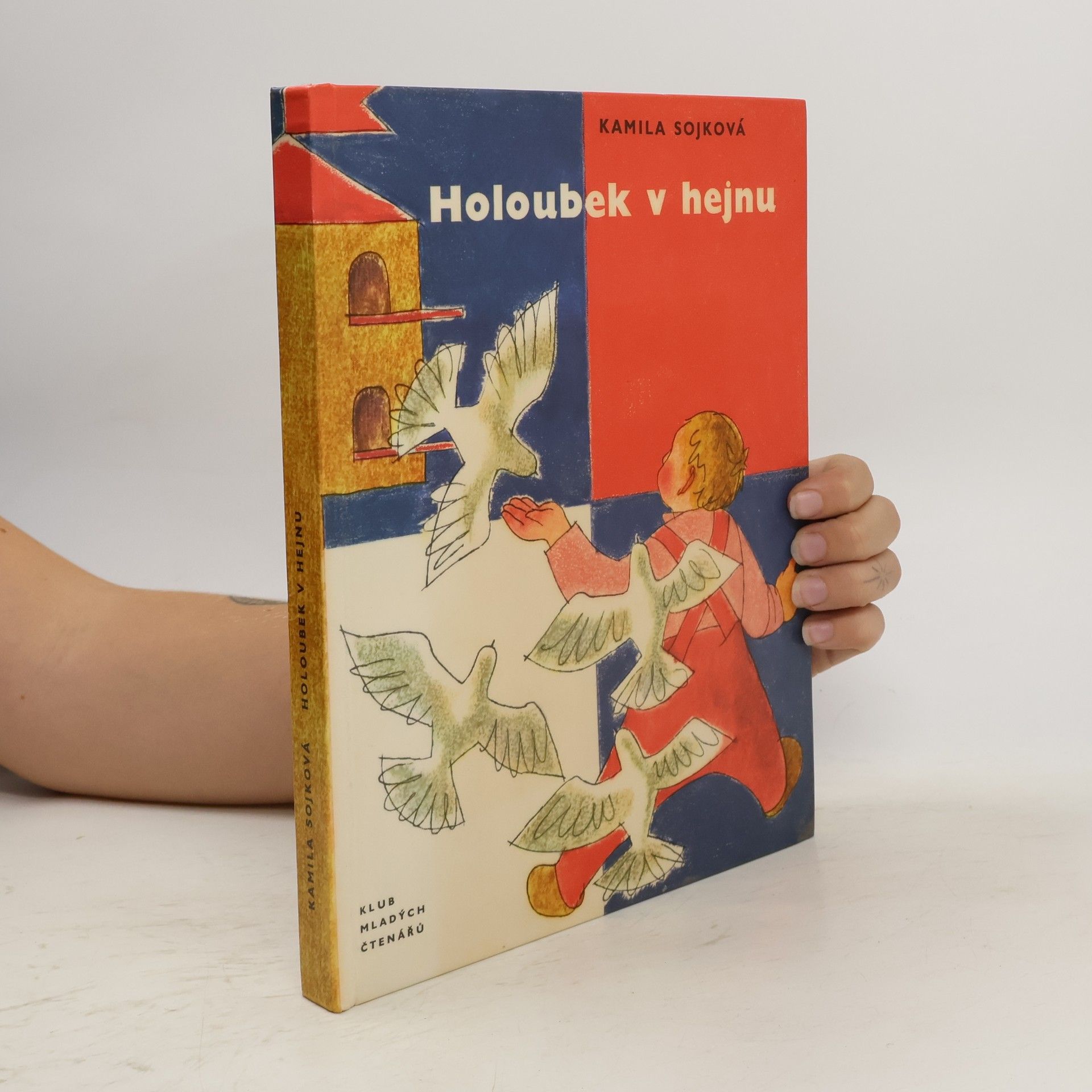 Kamila Sojková Holoubek v hejnu