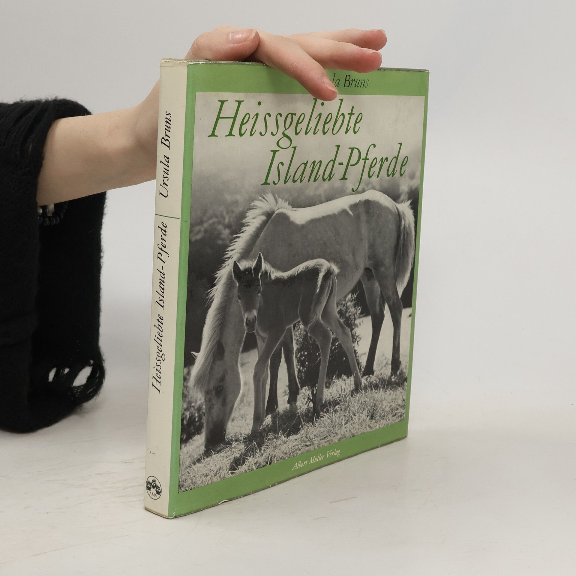 Ursula Bruns Heißgeliebte Islandpferde