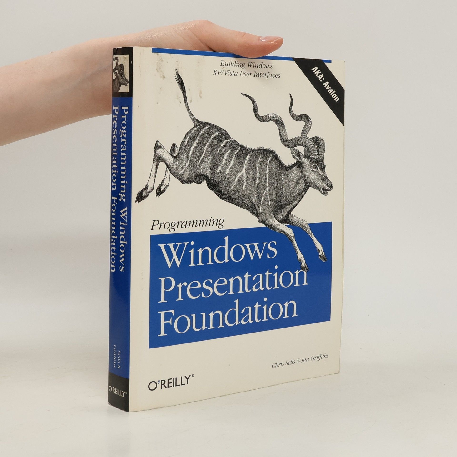 Ian Griffiths Programming Windows Presentation Foundation