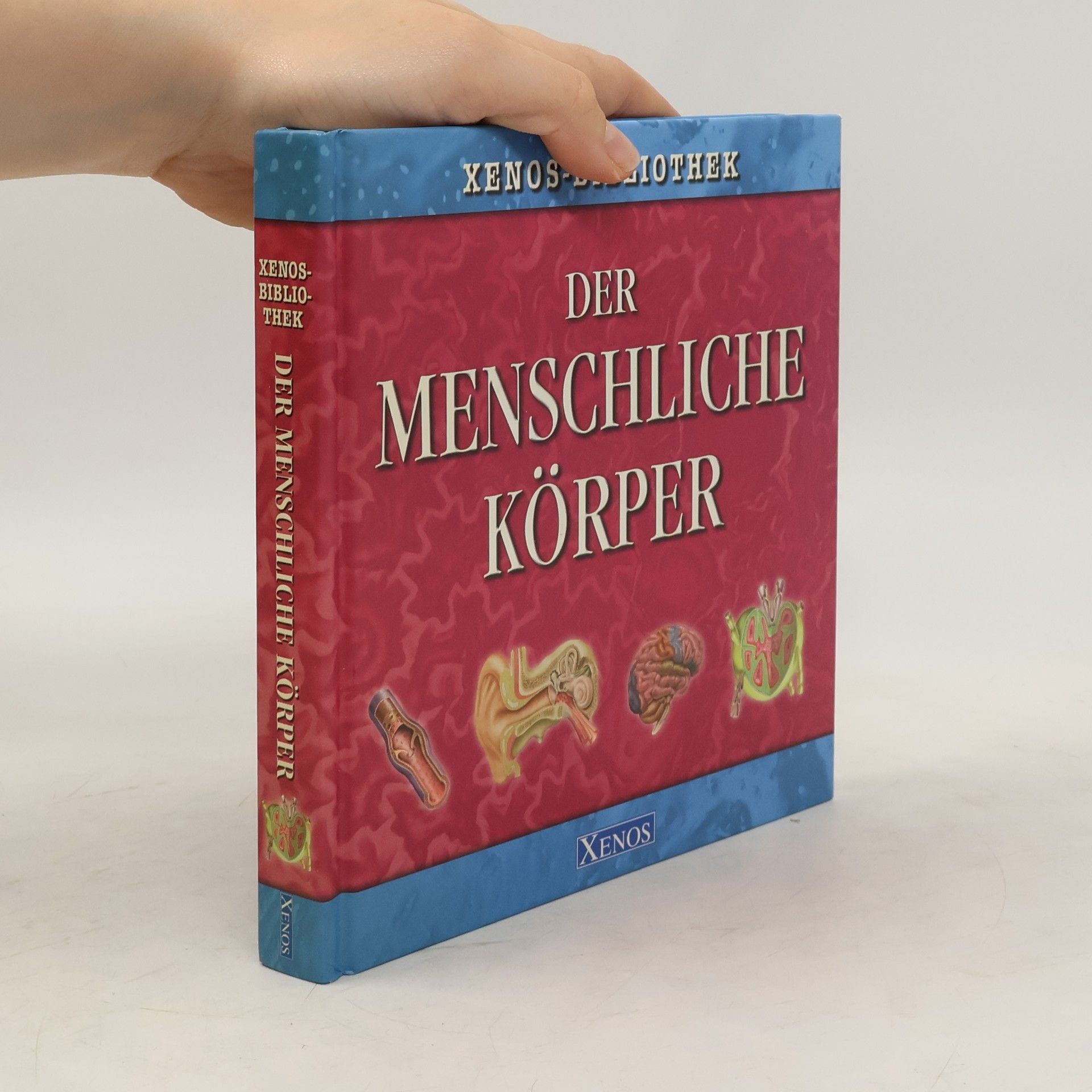 John Farndon Der menschliche Körper
