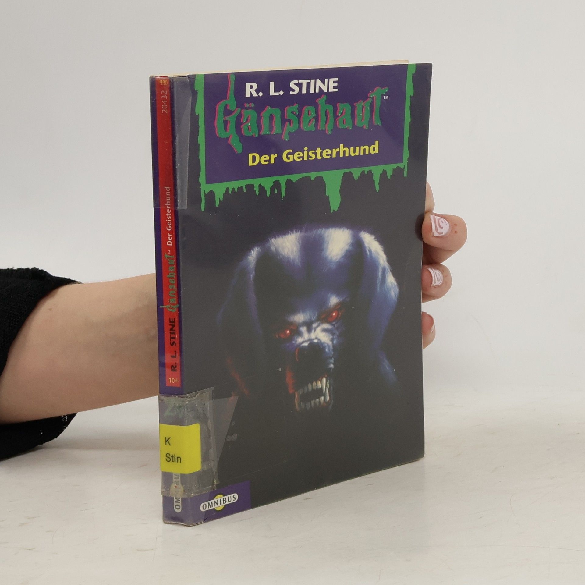 R. L. Stine Gänsehaut 20. Der Geisterhund