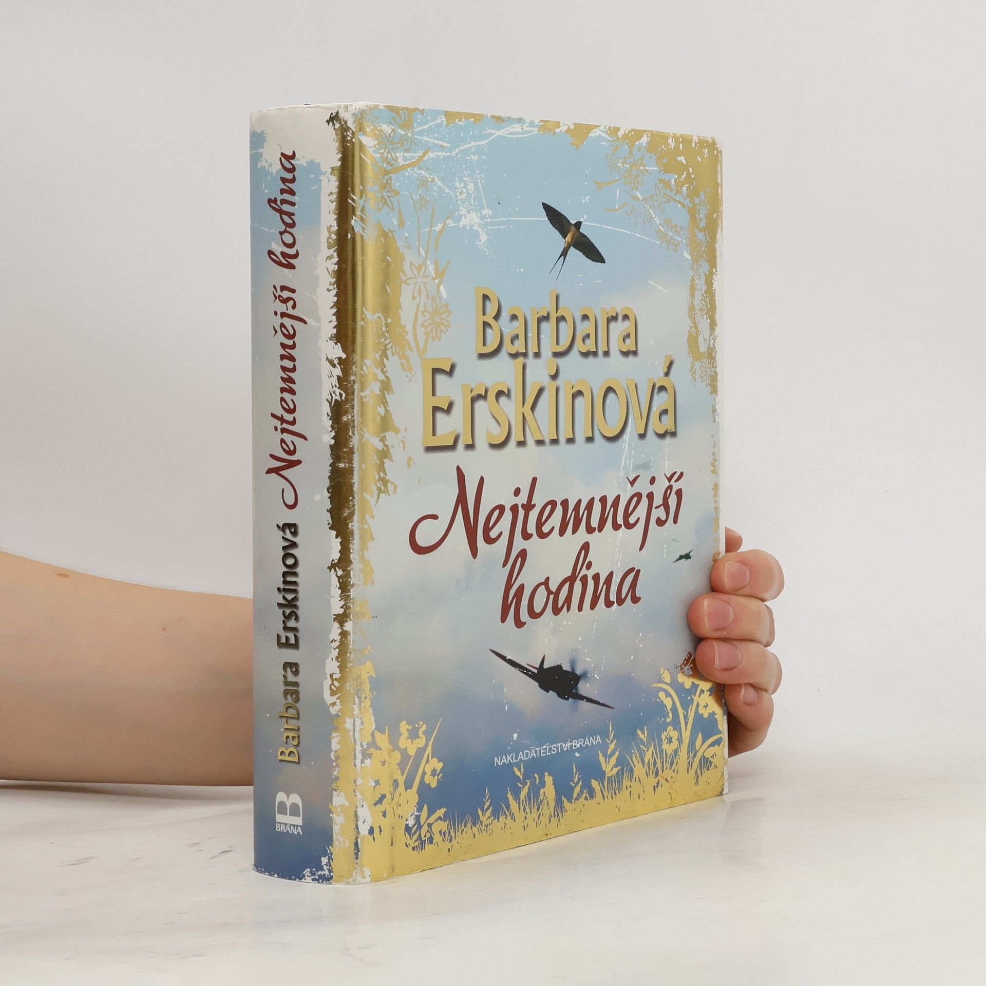 Barbara Erskine Nejtemnější hodina