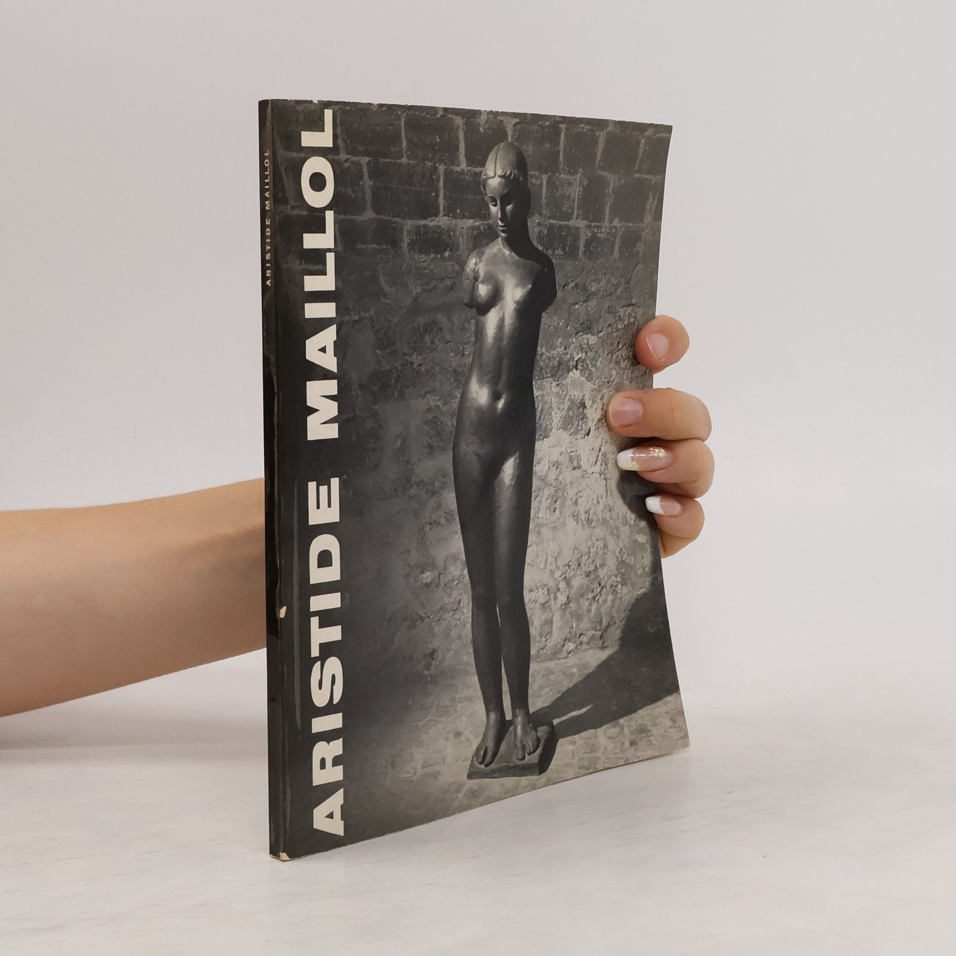 AA.VV. Aristide Maillol