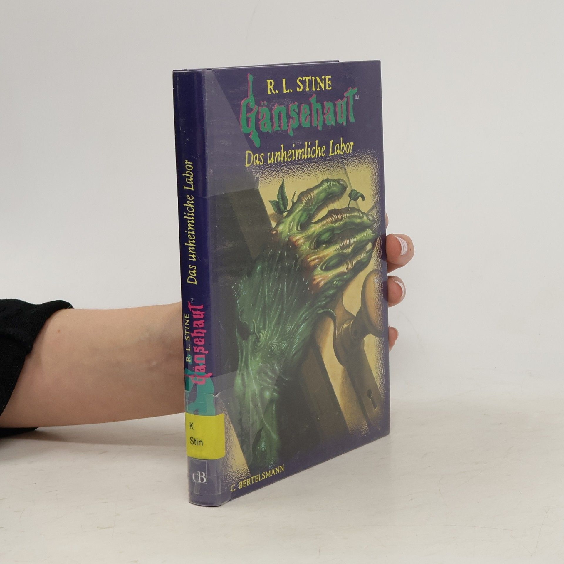 R. L. Stine Das unheimliche Labor