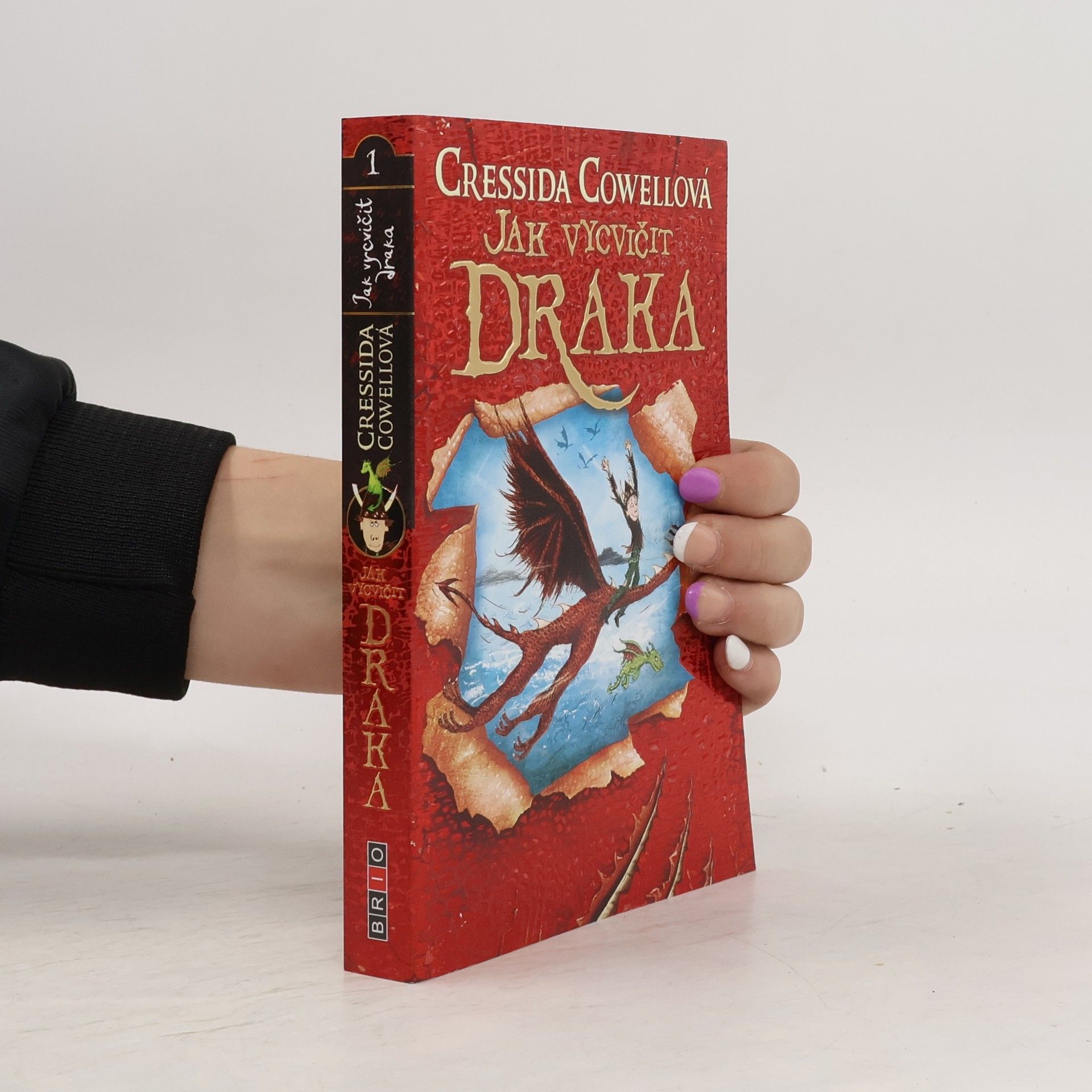 Cressida Cowell Jak vycvičit draka 1
