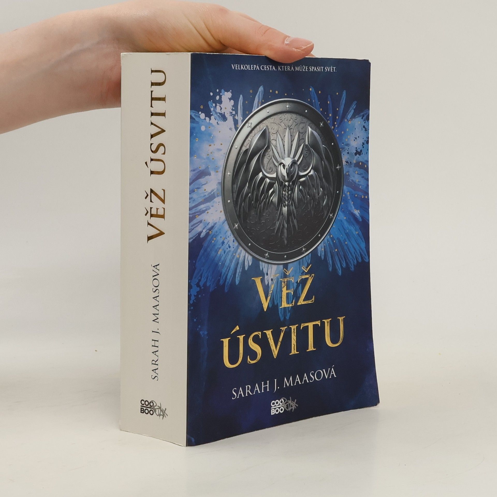 Sarah J. Maas Věž úsvitu