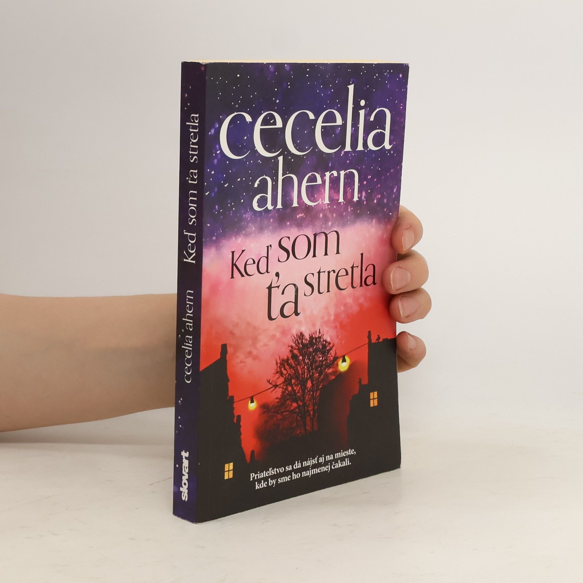 Cecelia Ahern Keď som Ťa stretla