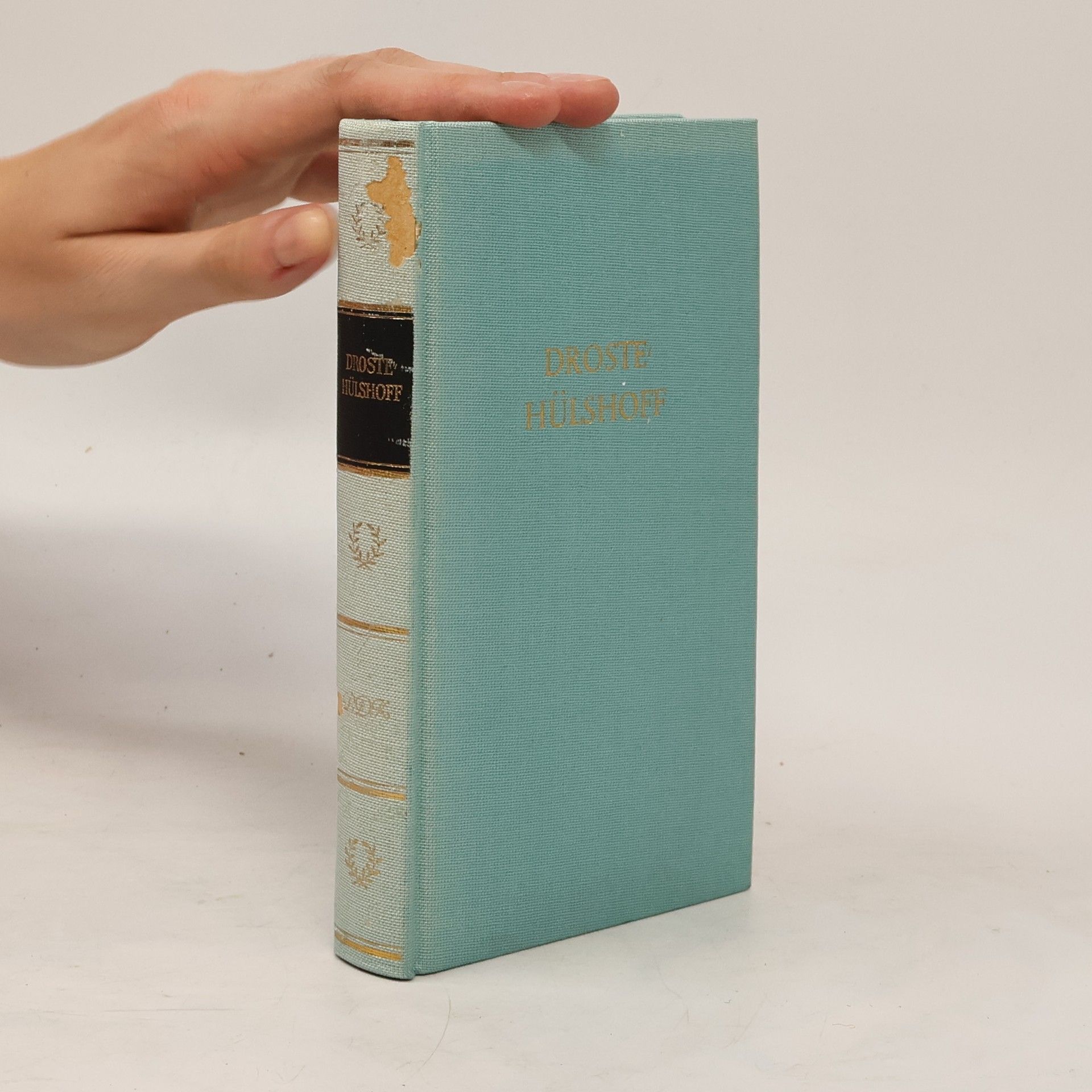 Rudolf Walbiner Droste Hülshoff Werke