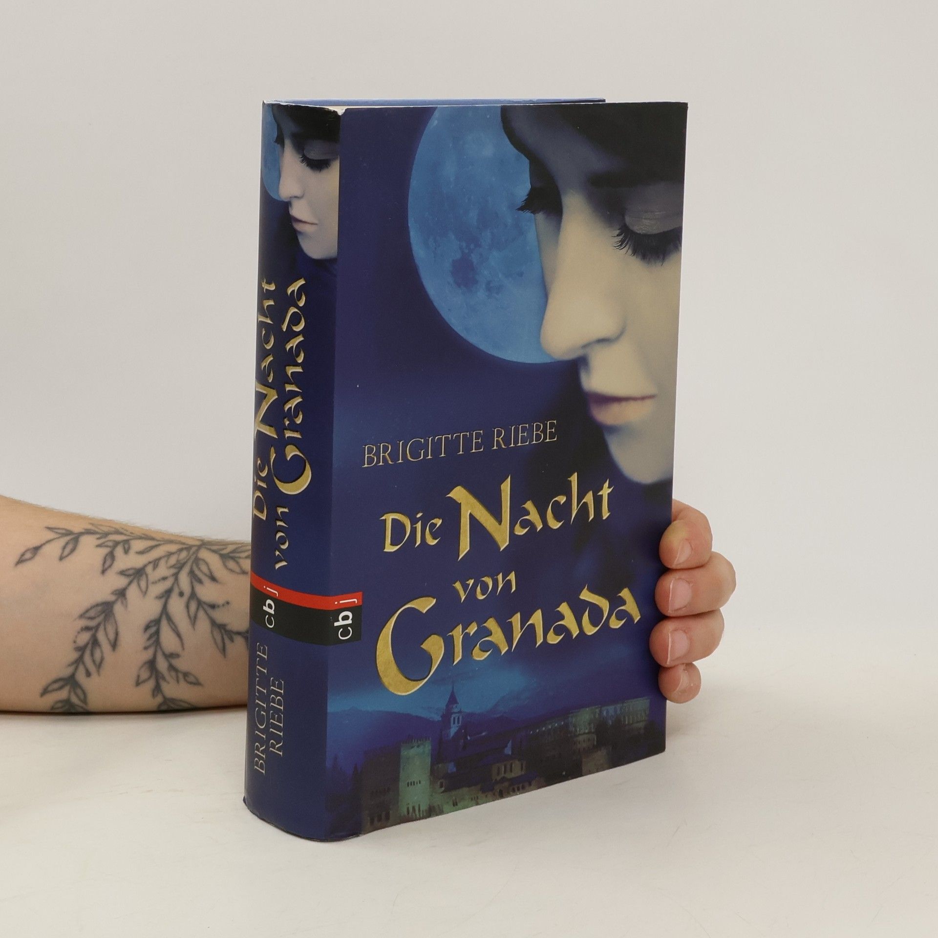 Brigitte Riebe Die Nacht von Granada