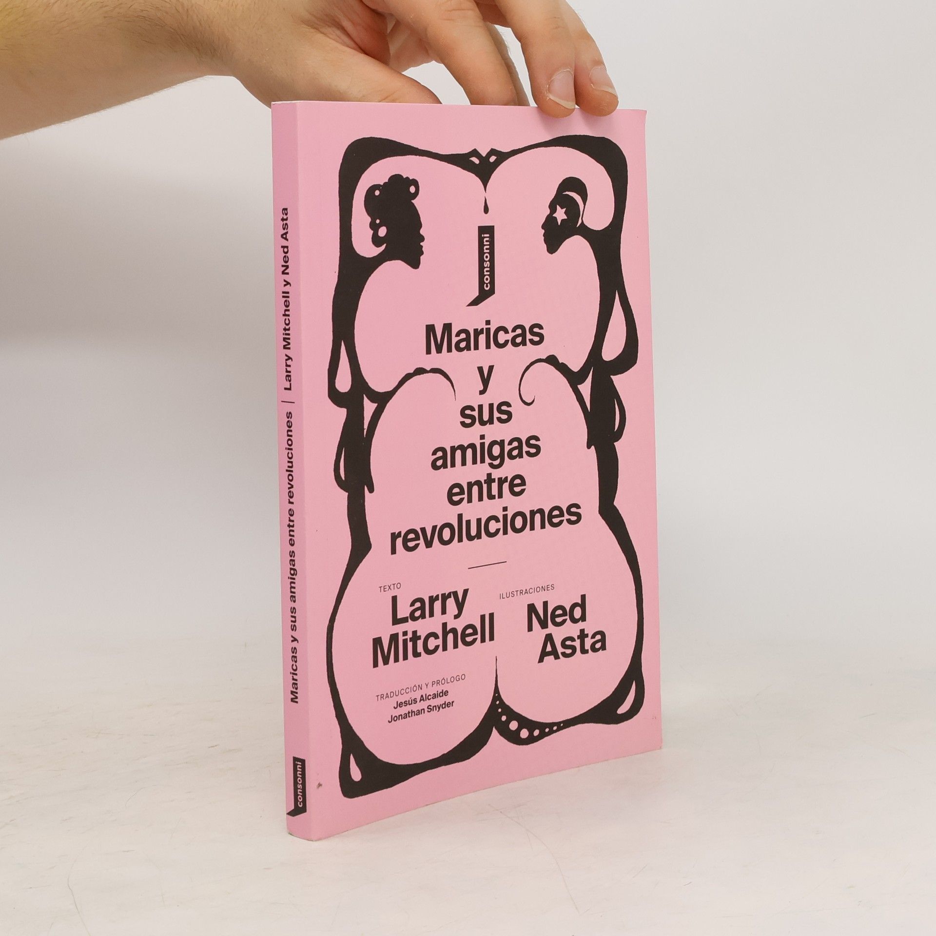 Larry Mitchell Maricas y sus amigas entre revoluciones