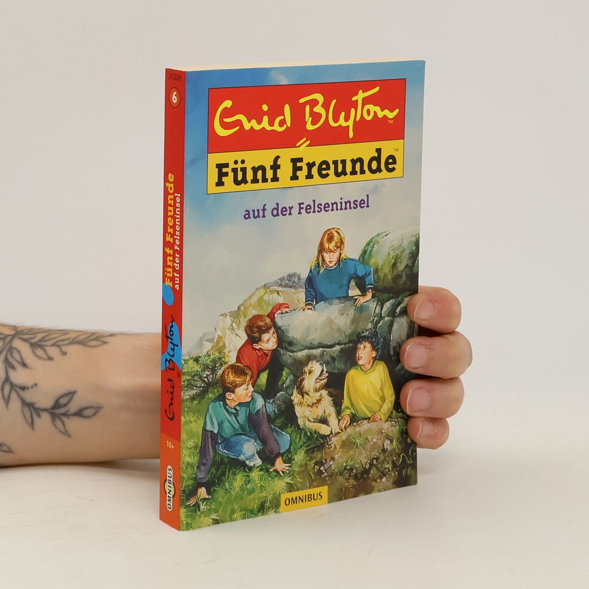 Enid Blyton Fünf Freunde auf der Felseninsel