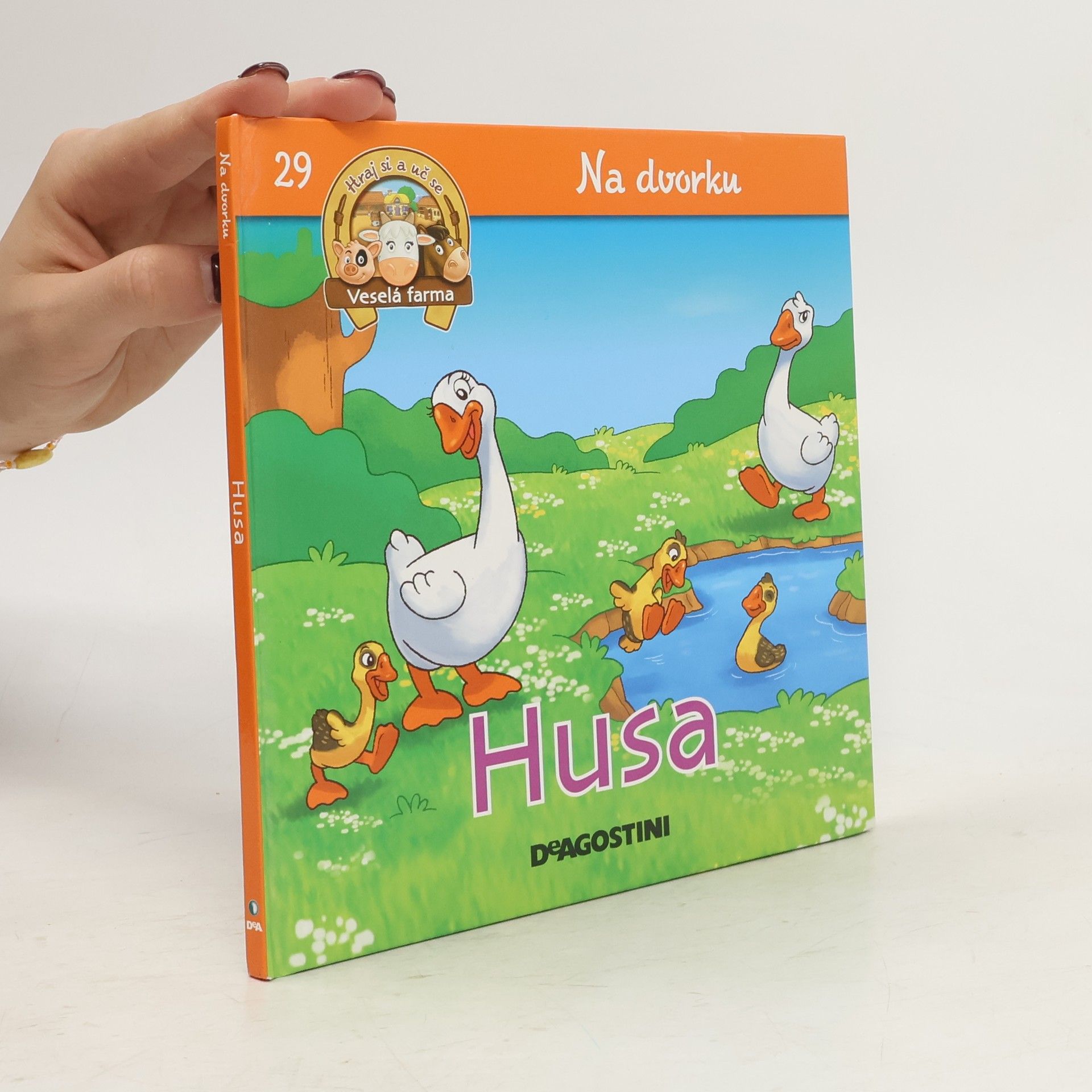 Autorenkollektiv Na dvorku 29. Husa