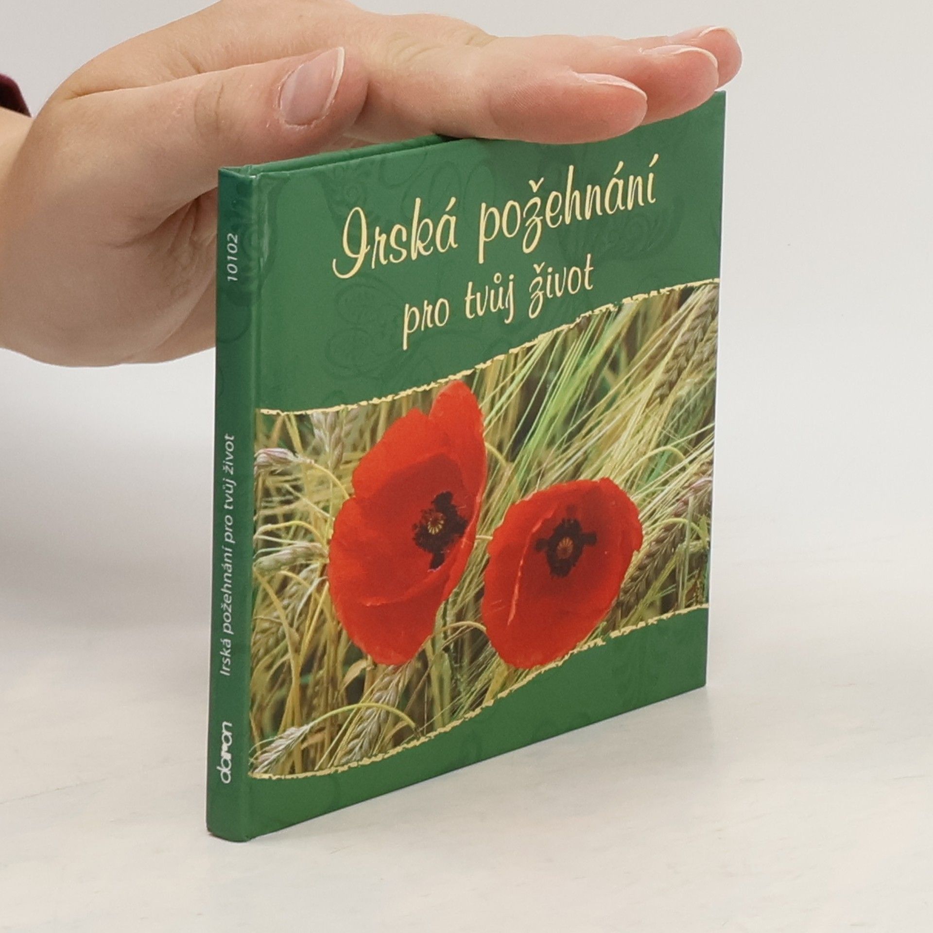 kolektiv Irská požehnání pro tvůj život