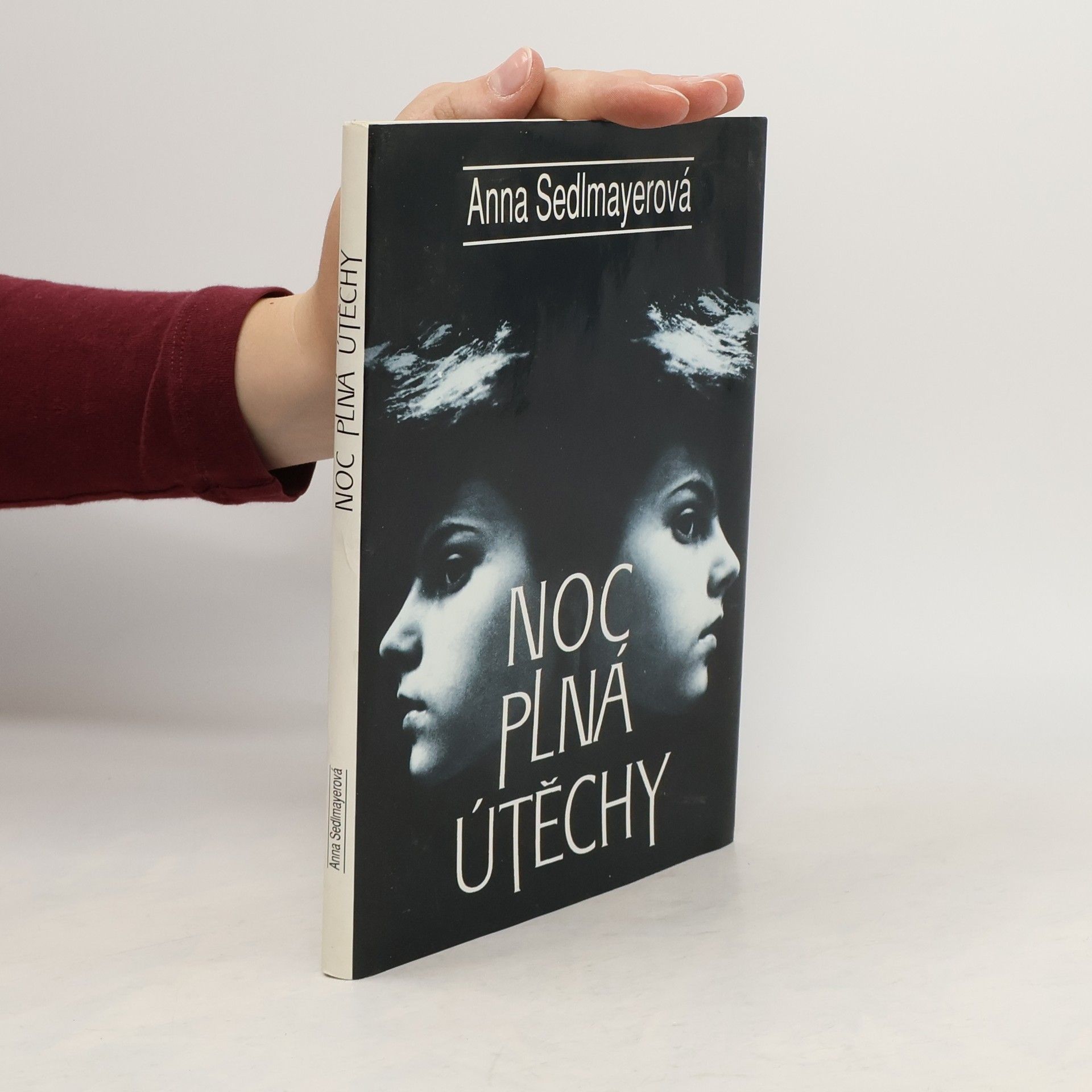 Anna Sedlmayerová Noc plná útěchy