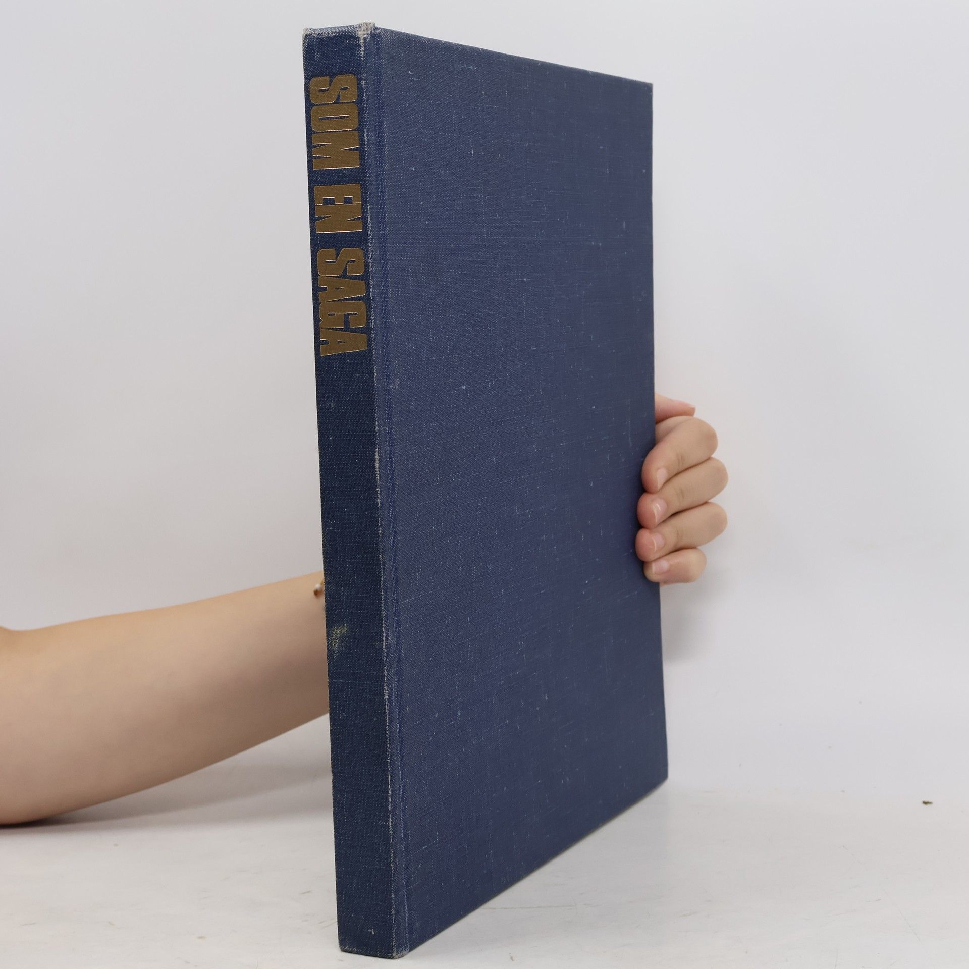 Autorenkollektiv Som en Saga