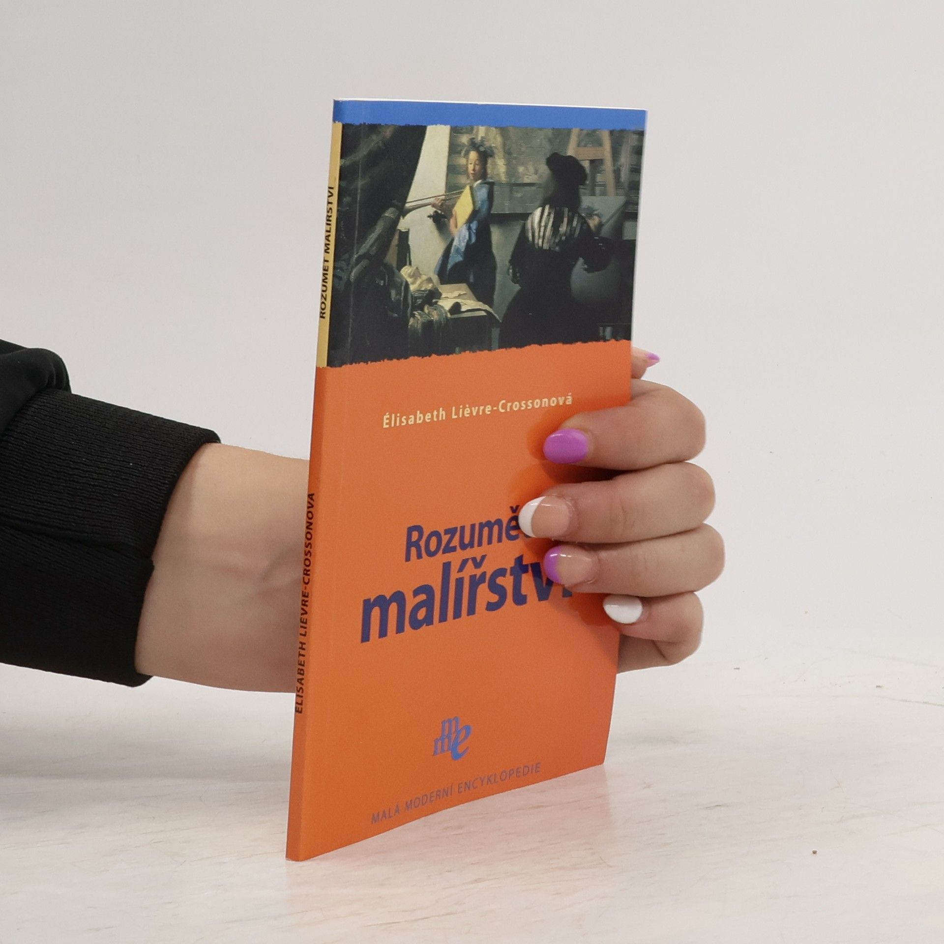 Rozumět malířství