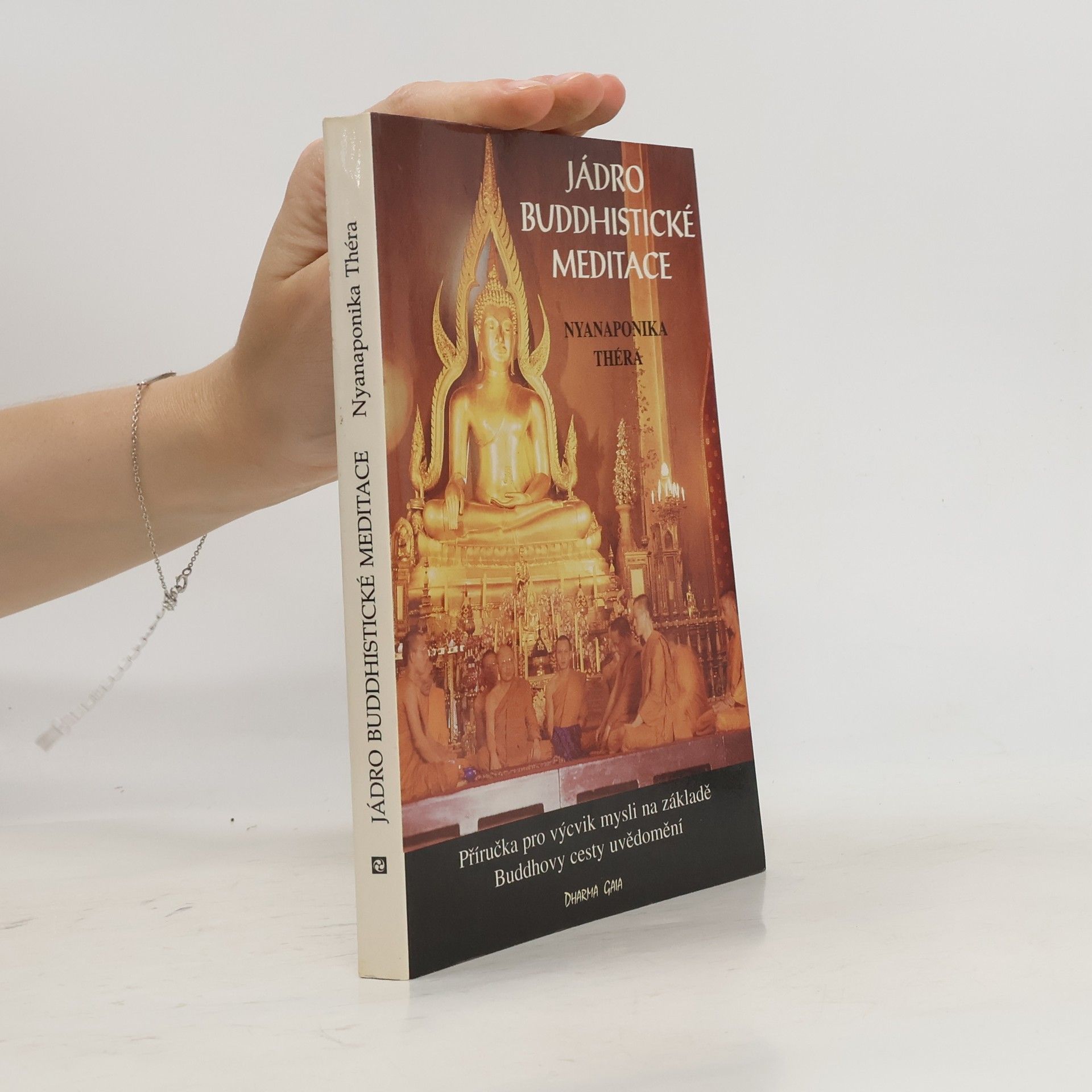 Karel Werner Jádro buddhistické meditace : satipatthána : příručka pro výcvik mysli na základě Buddhovy cesty uvědomění : s antologií textů přeložených z pálijštiny a sanskrtu