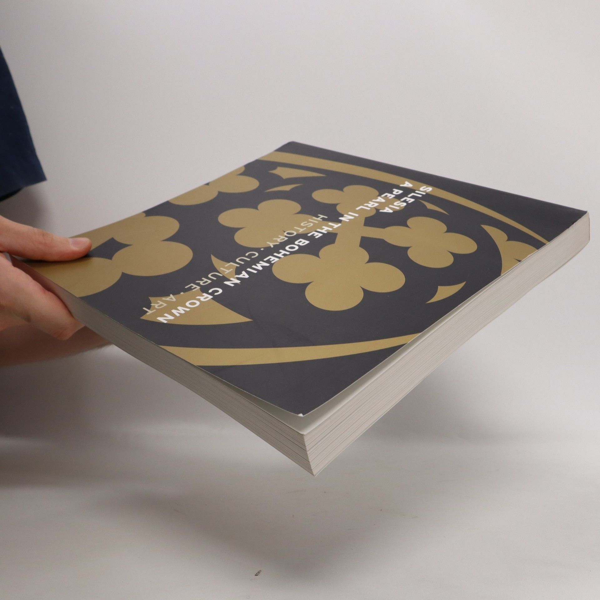 Various authors Silesia - a pearl in the Bohemian Crown