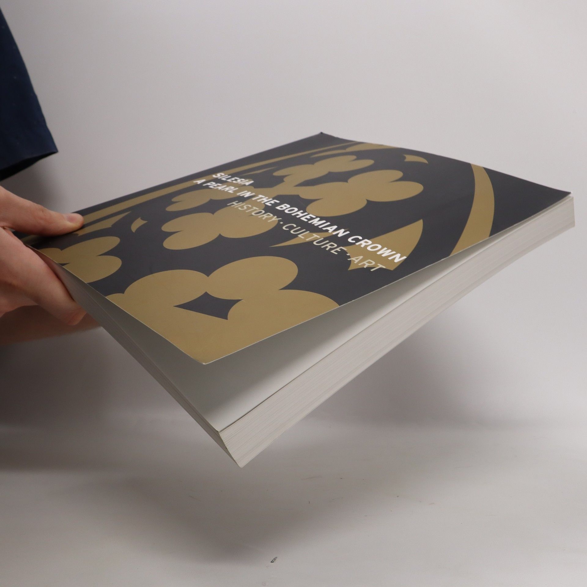 Various authors Silesia - a pearl in the Bohemian Crown