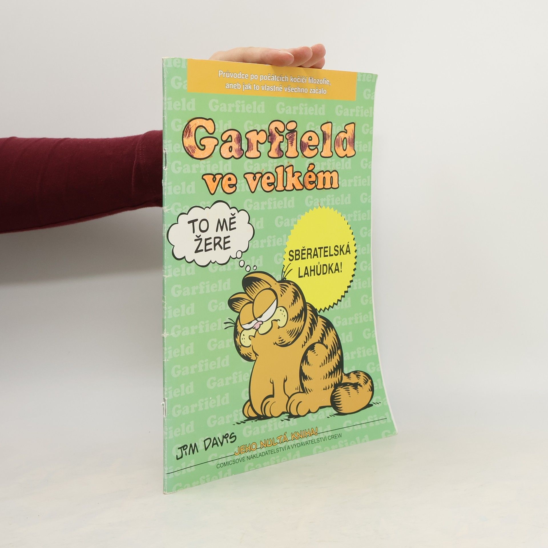 Jim Davis Garfield ve velkém