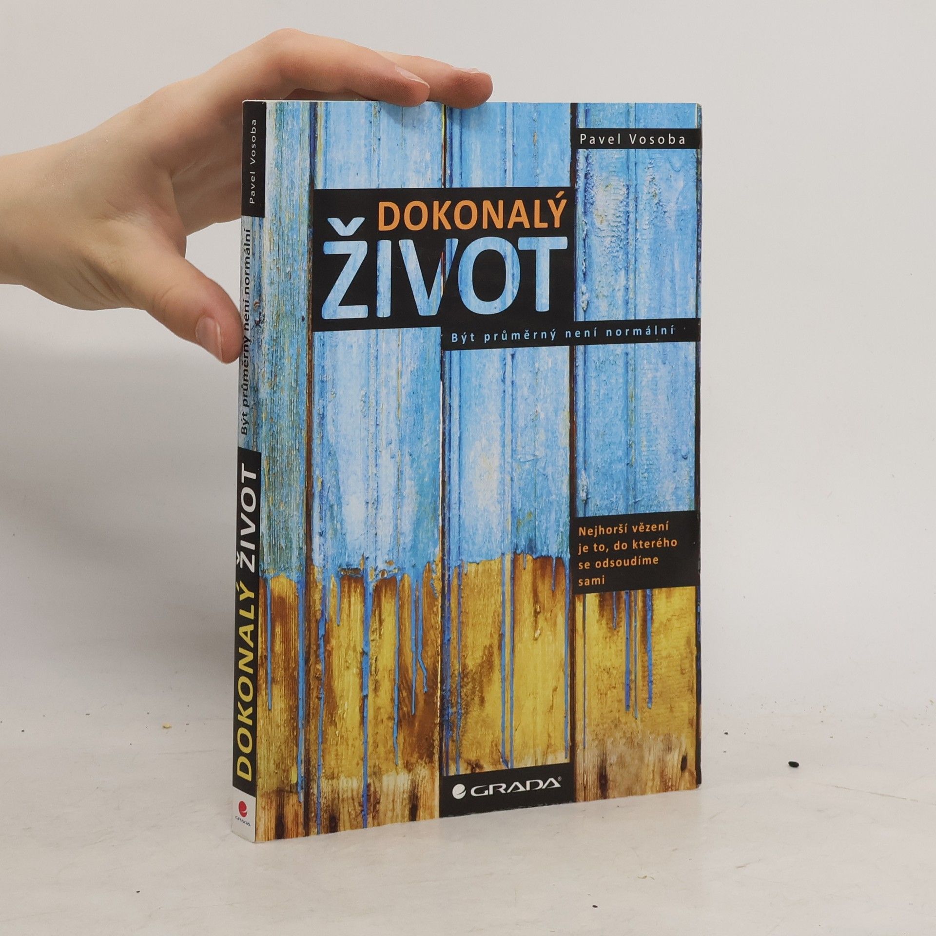 Pavel Vosoba Dokonalý život : být průměrný není normální