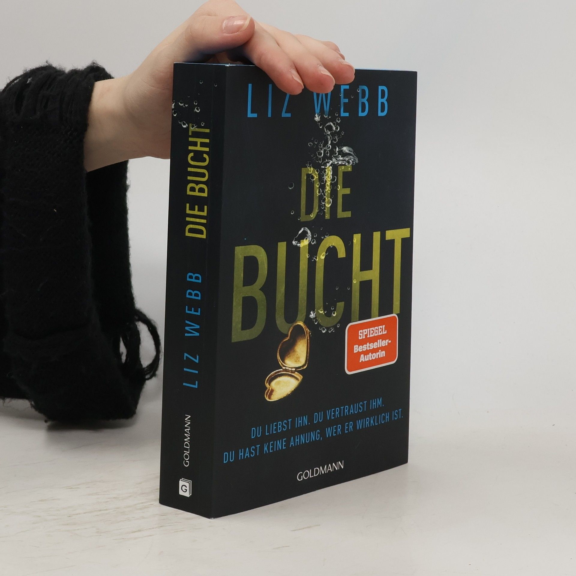 Liz Webb Die Bucht