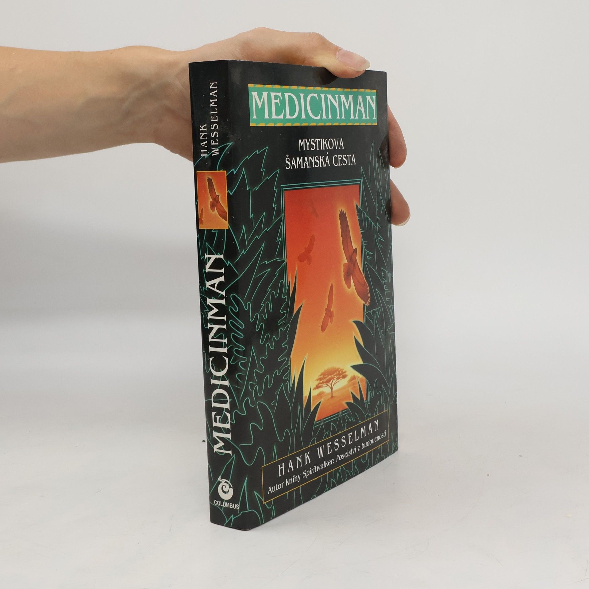 Hank Wesselman Medicinman. Mystik se vydává na šamanskou cestu