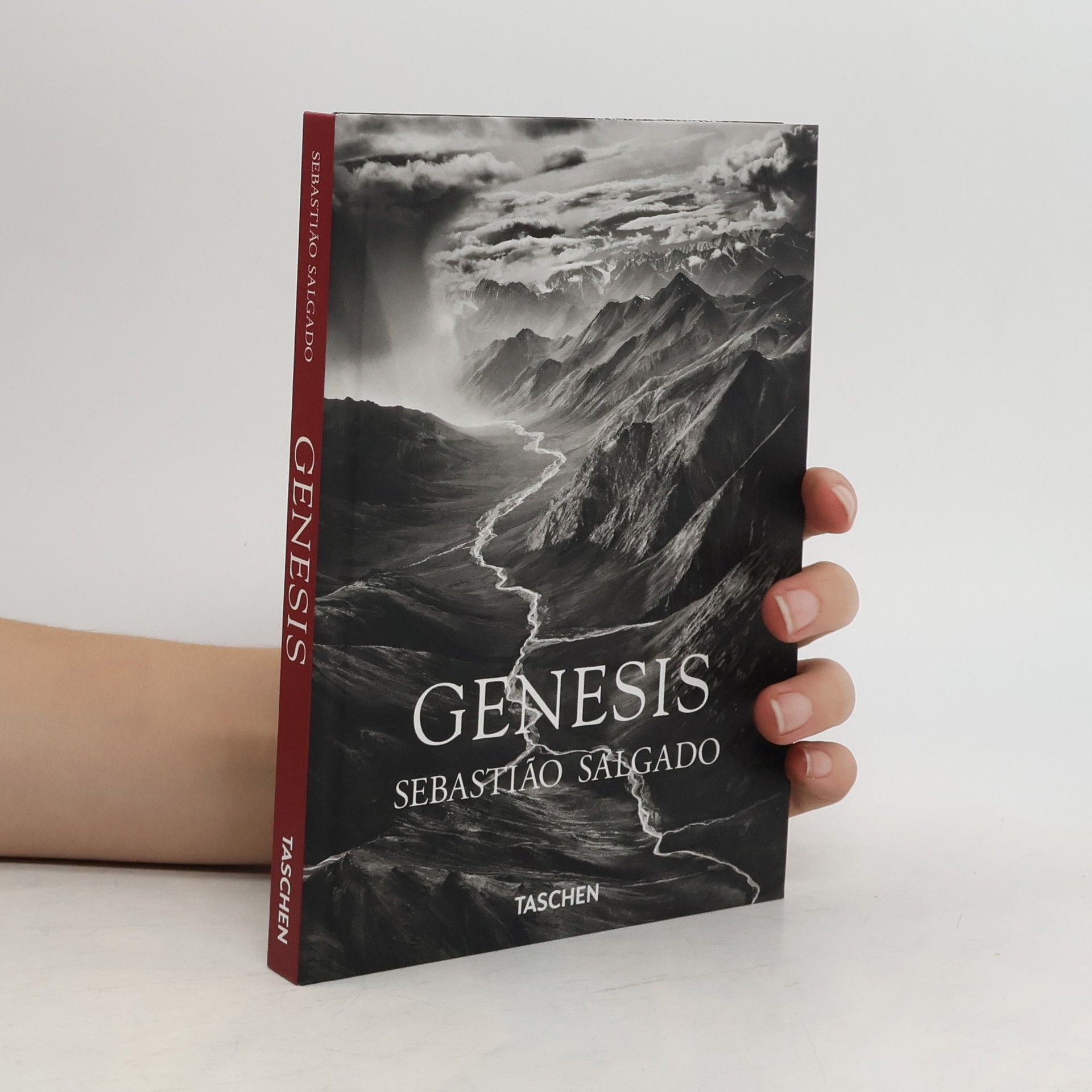 Sebastiao Salgado Genesis