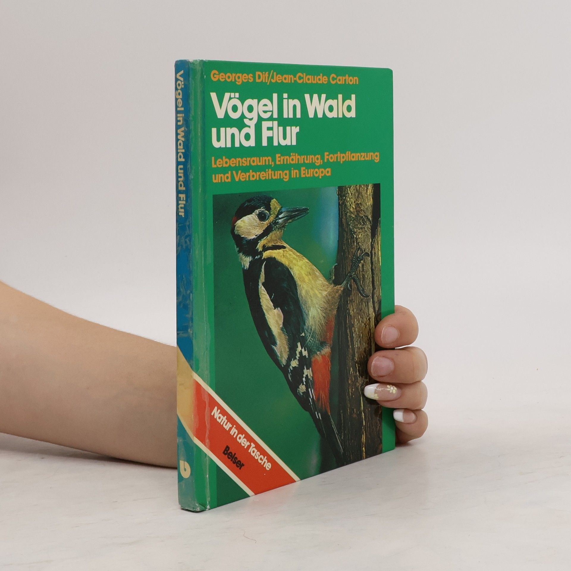 Georges Dif Vögel in Wald und Flur