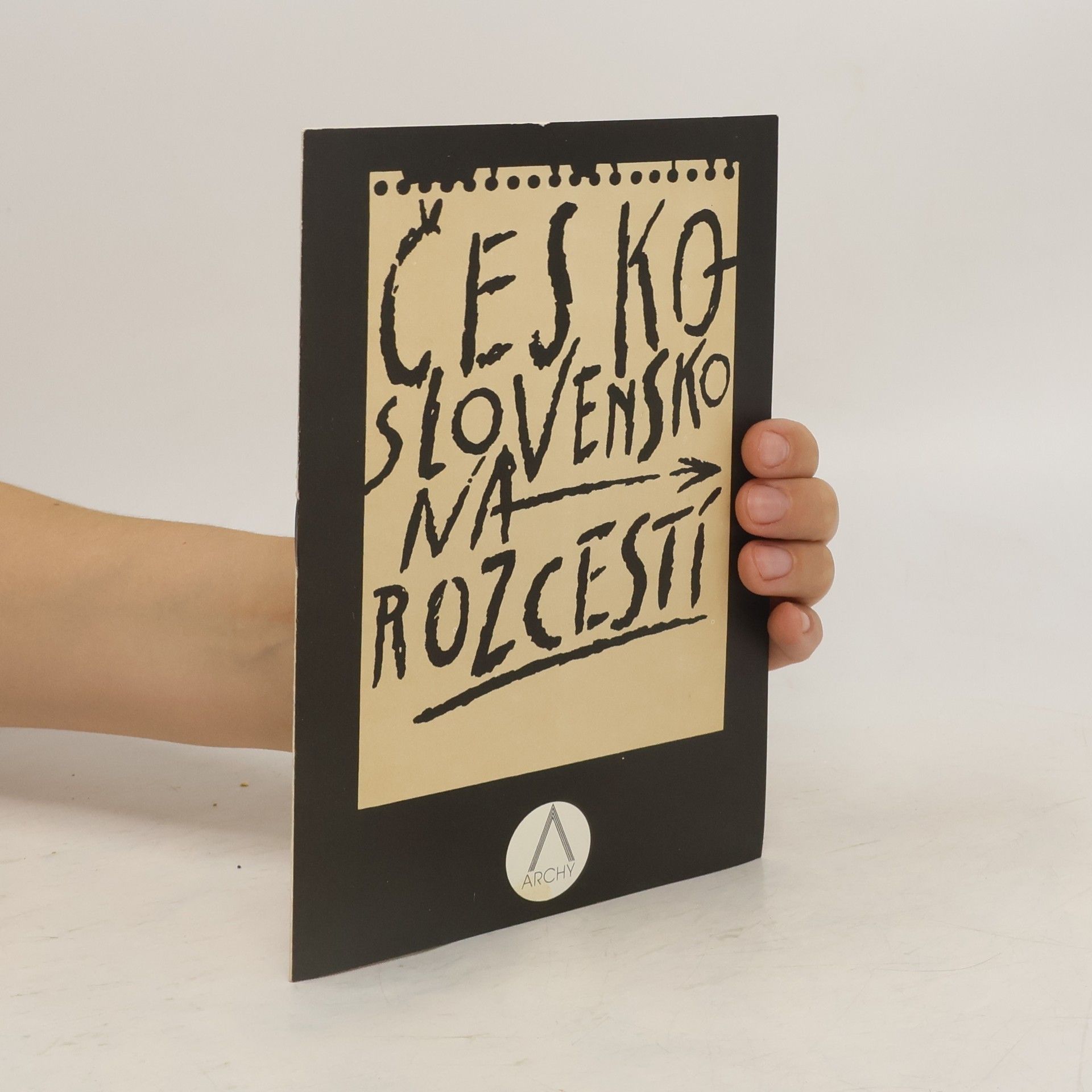 Collectif d'auteurs Československo na rozcestí