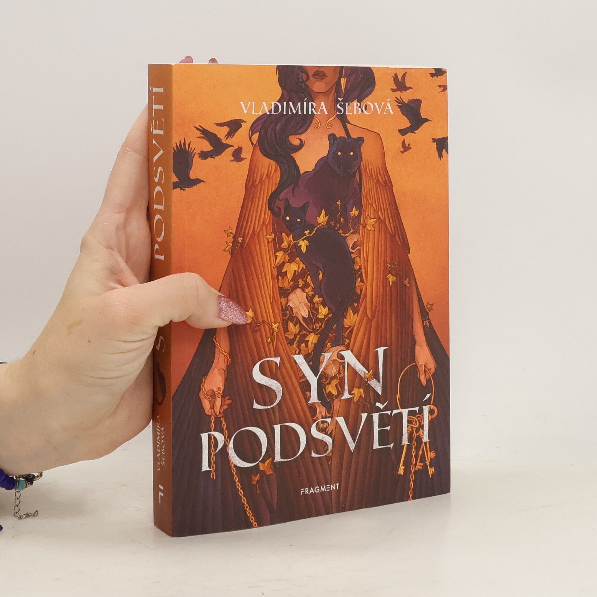 Vladimíra Šebová Syn podsvětí