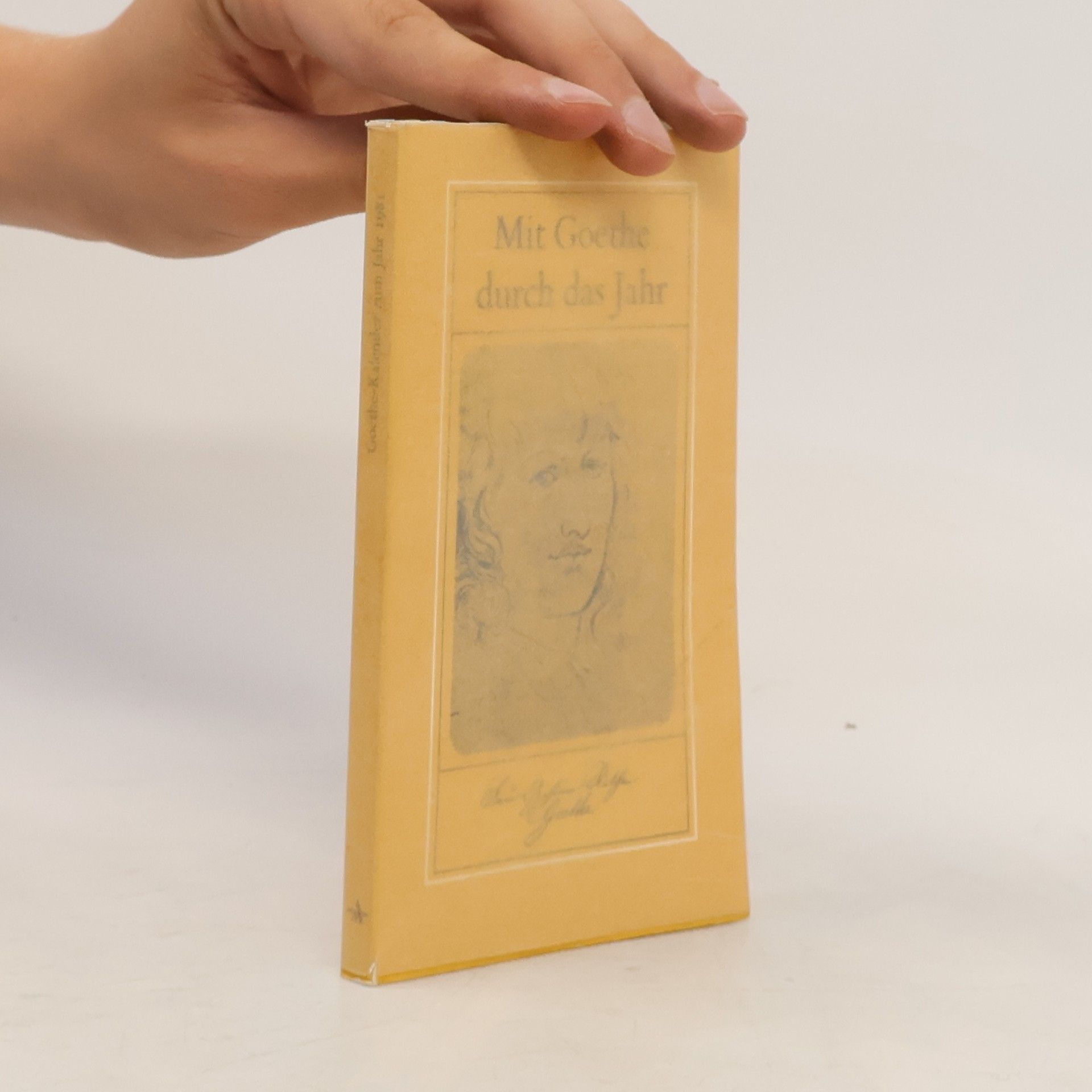 kolektiv Mit Goethe durch das Jahr 1981